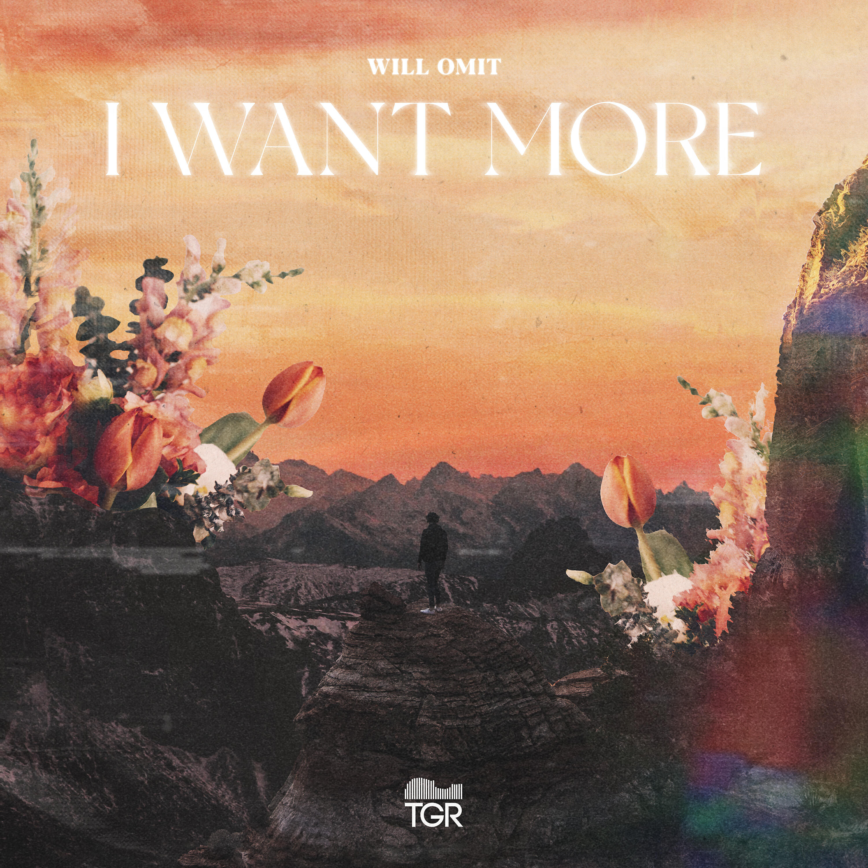 Релиз I Want More