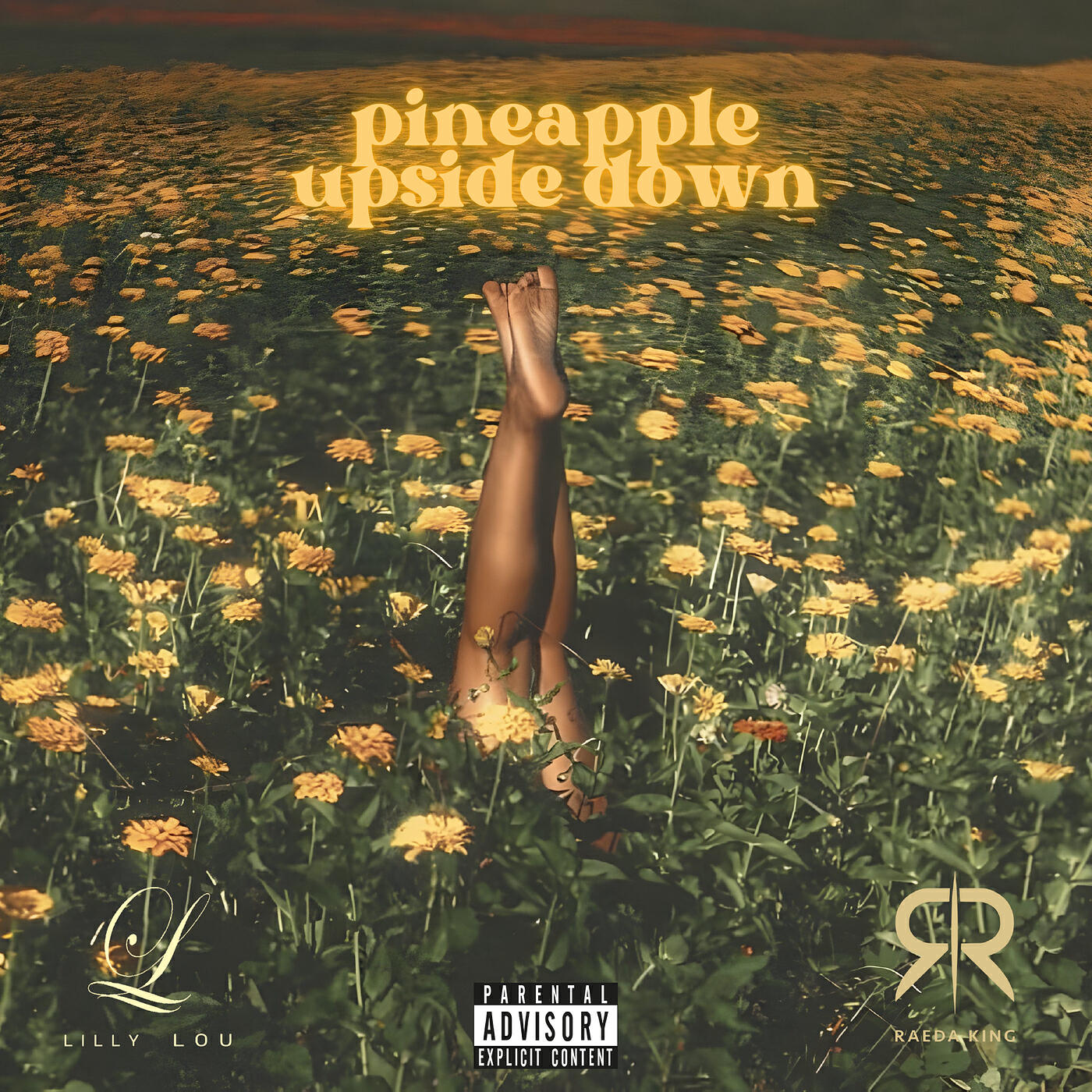 Релиз Pineapple Upside Down
