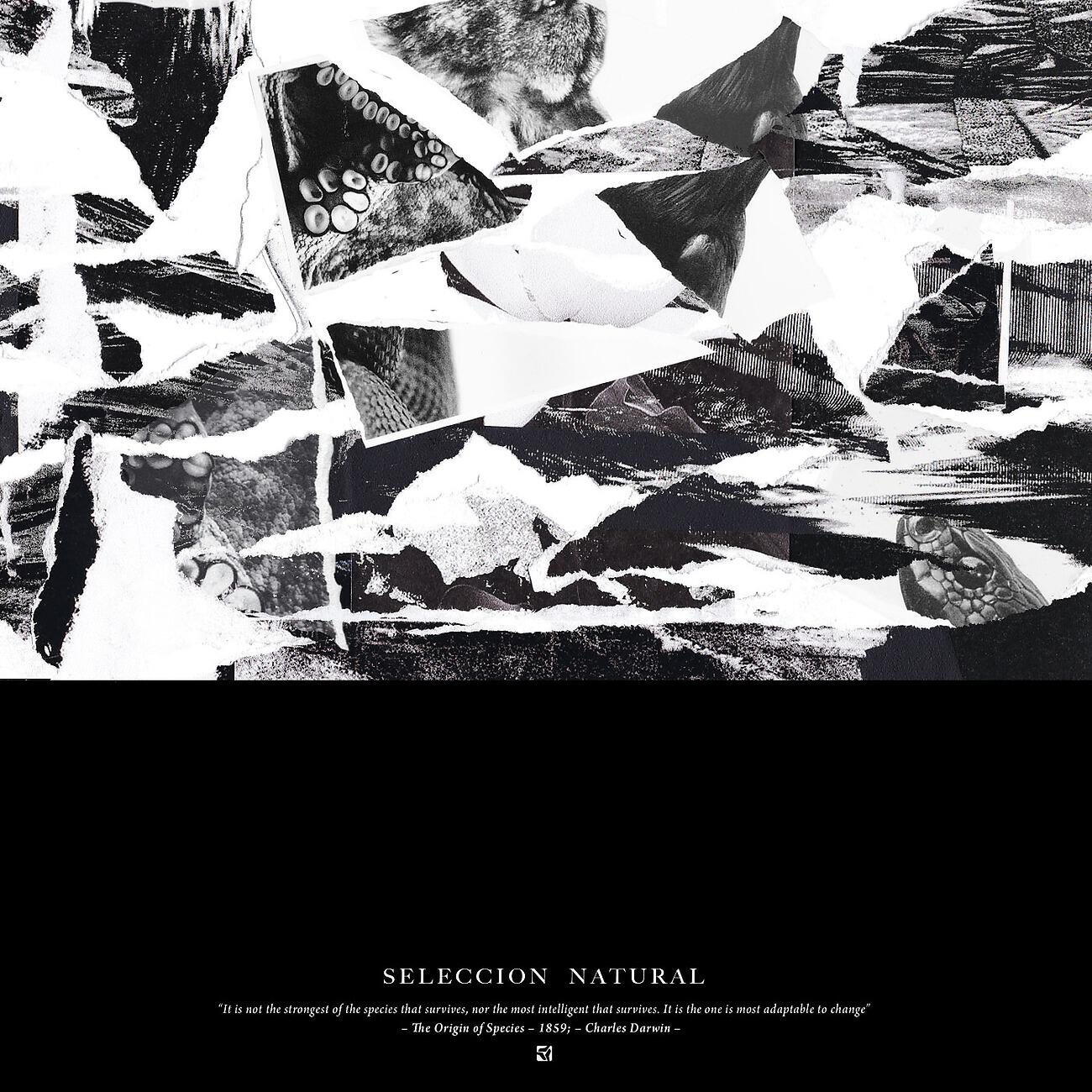 Релиз Seleccion Natural - Digital Bonus EP