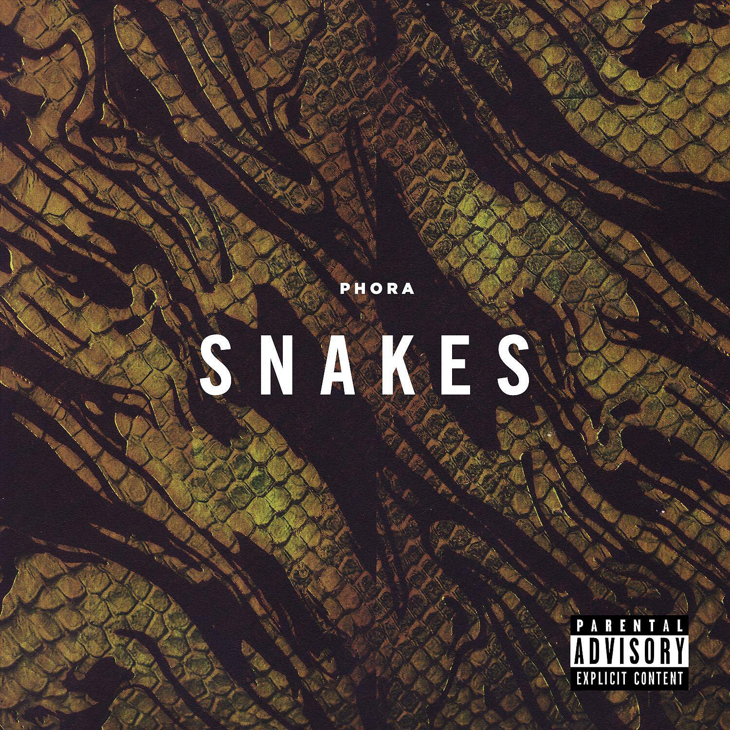 Релиз Snakes