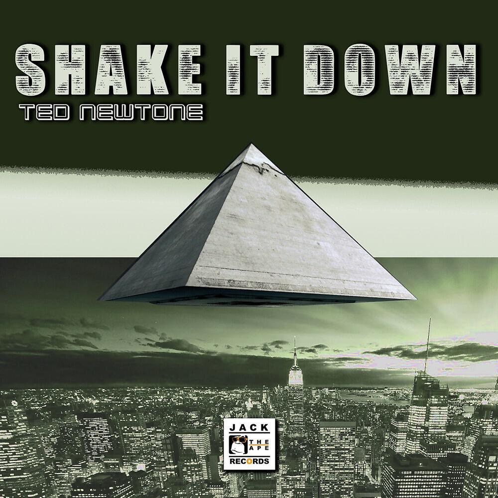 Релиз Shake It Down