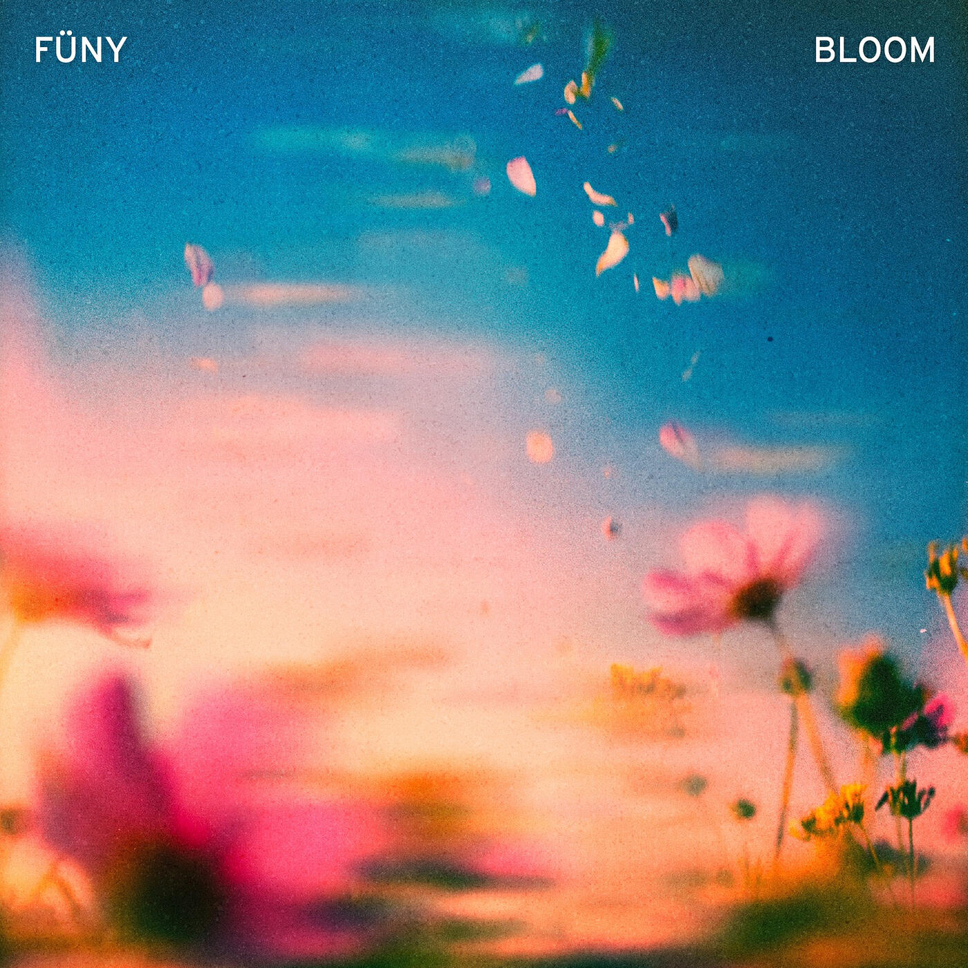 FÜNY