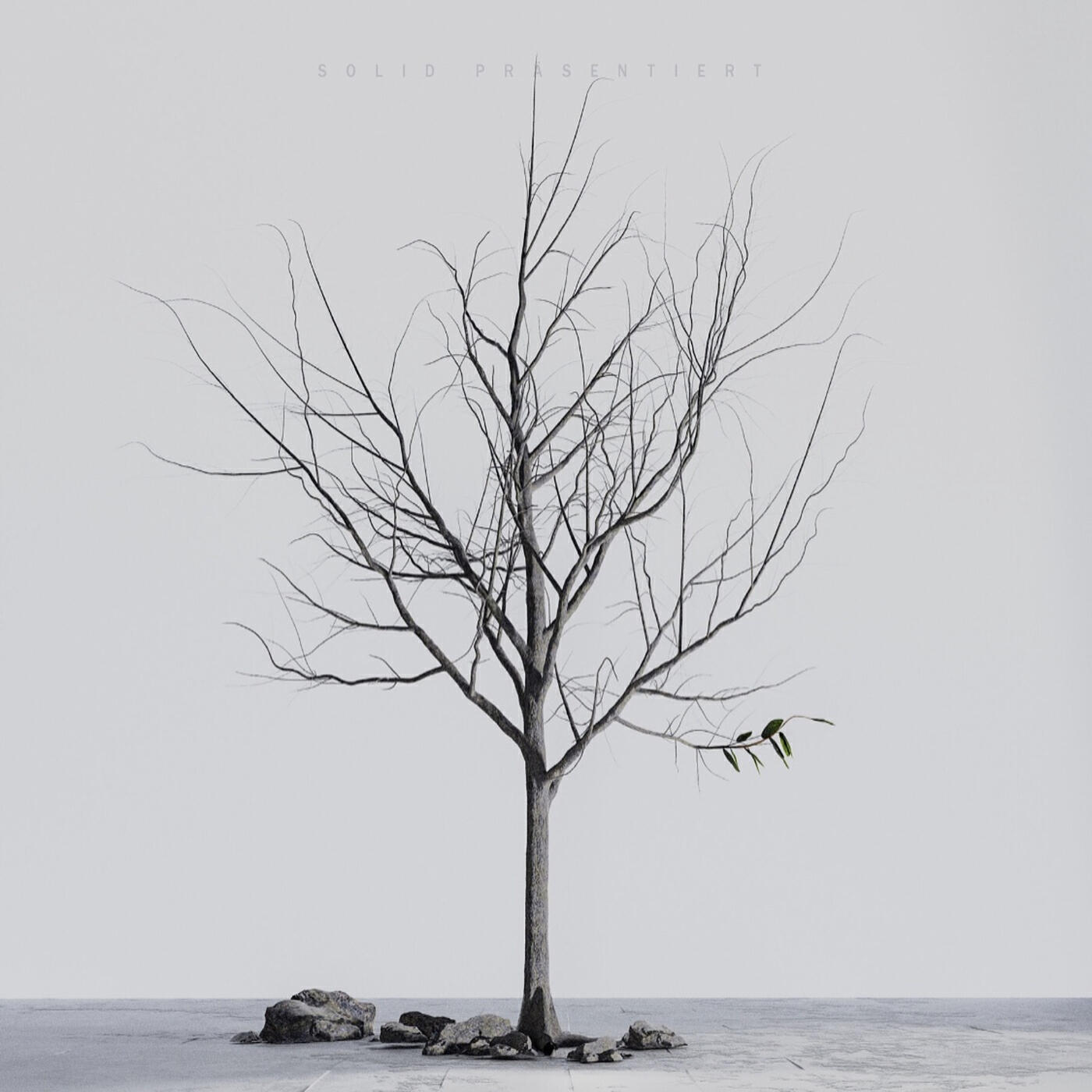 Релиз Angst
