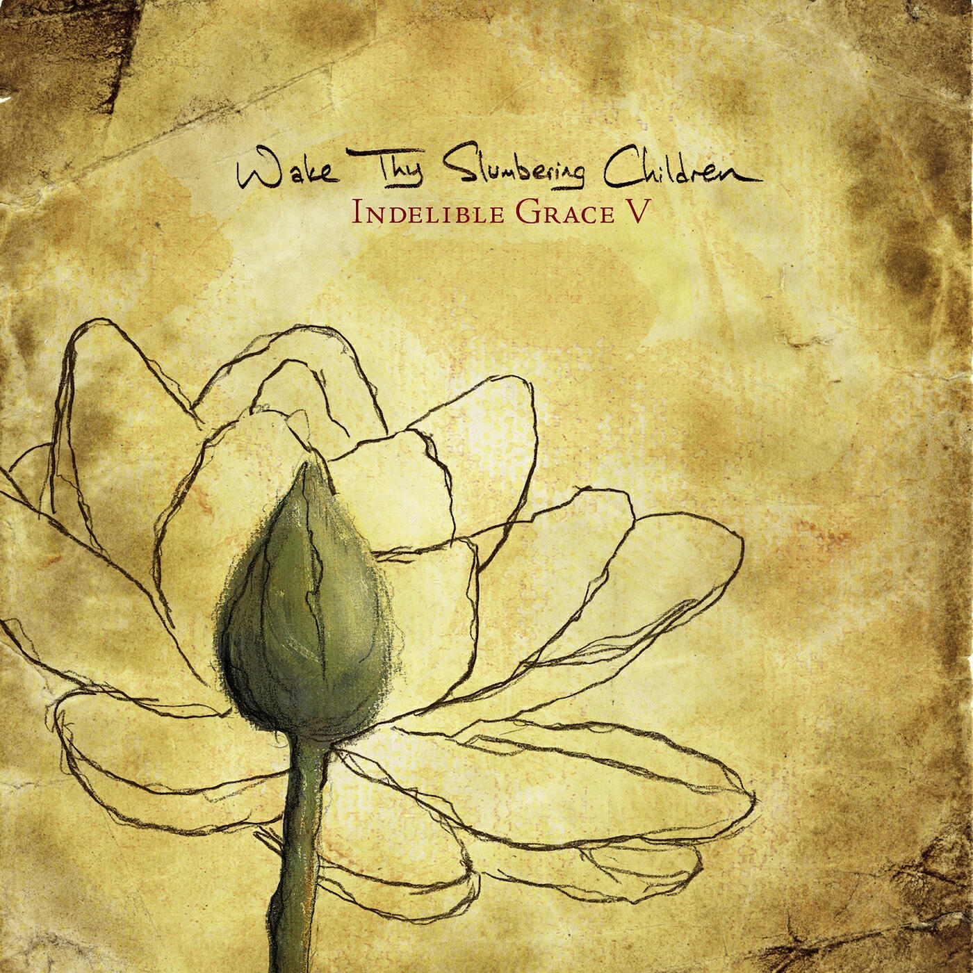 Релиз Wake Thy Slumbering Children: Indelible Grace V (Instrumental Versions)