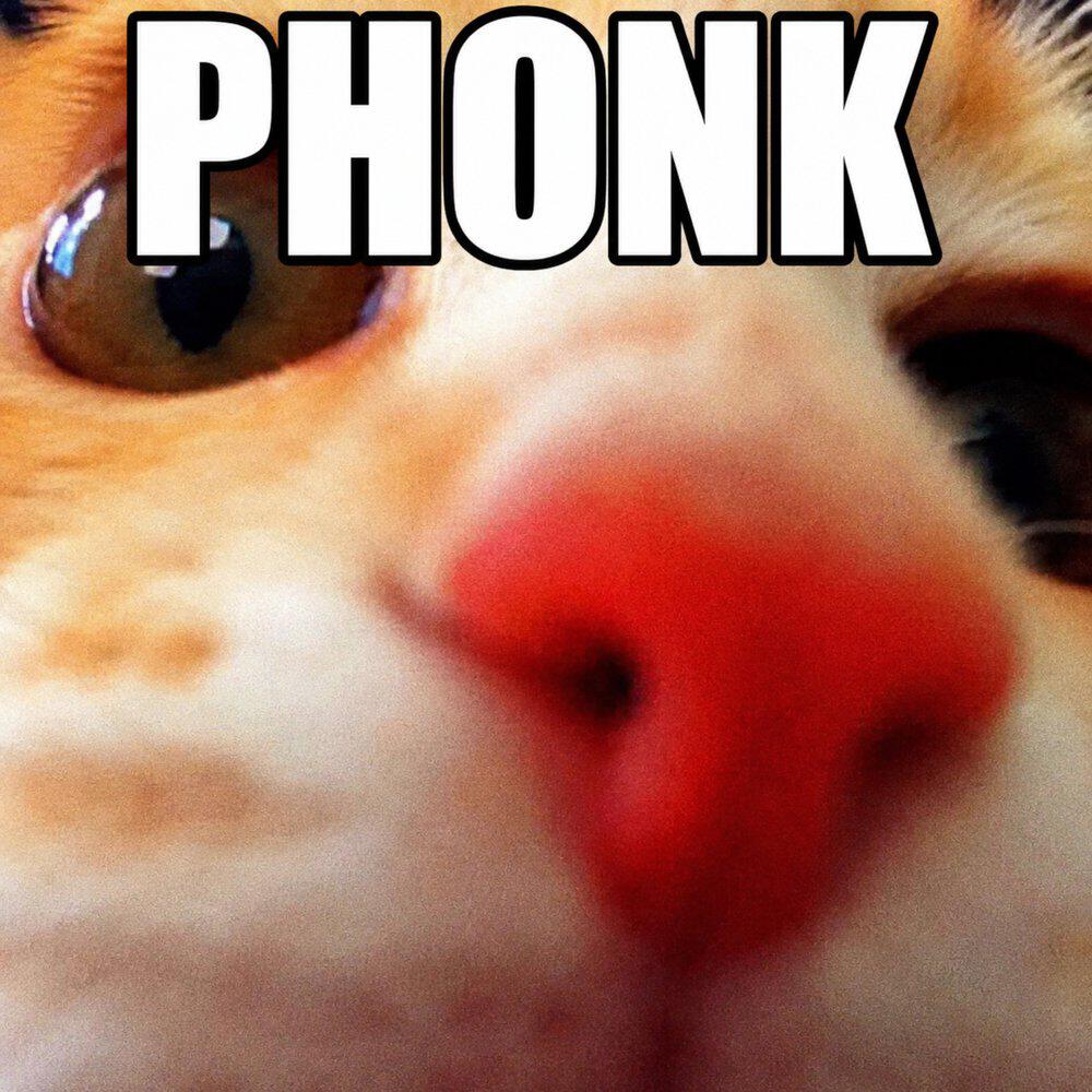 Релиз PHONK