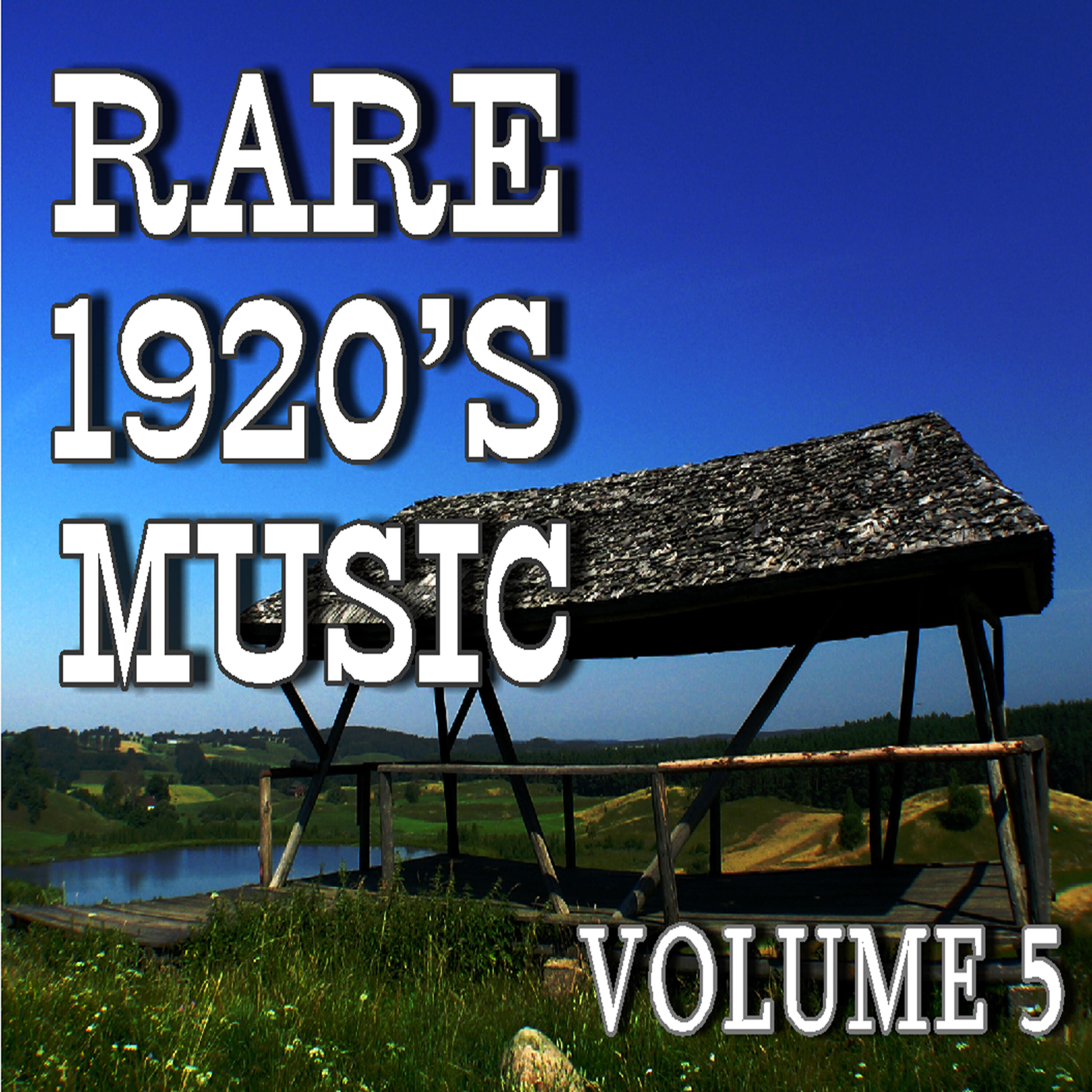 Релиз Rare 1920's Music, Vol. 5