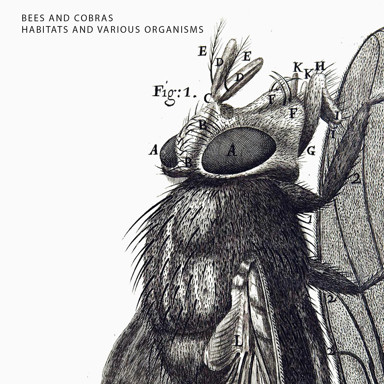 Релиз Habitats and Various Organisms