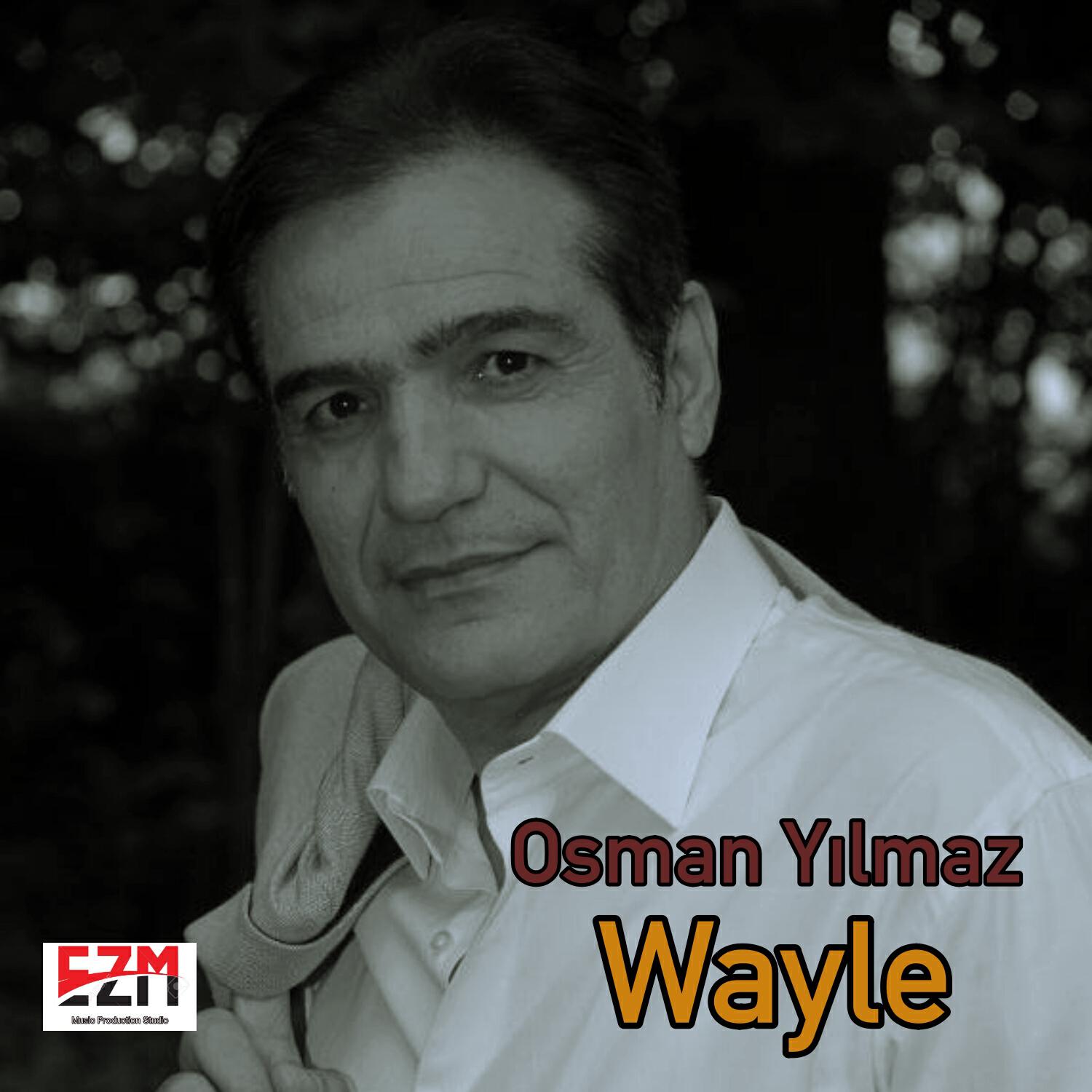 Релиз Wayle