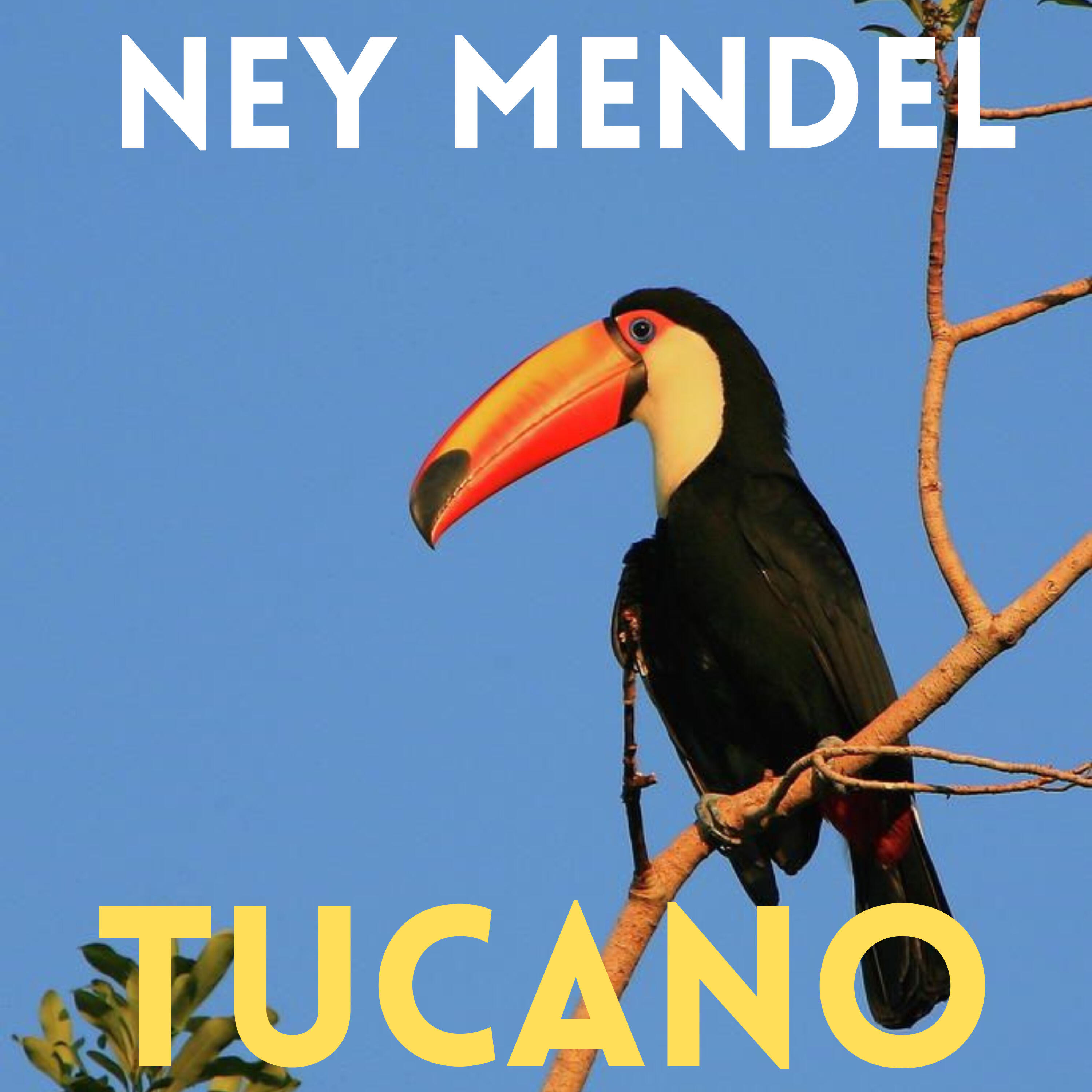 Релиз Tucano
