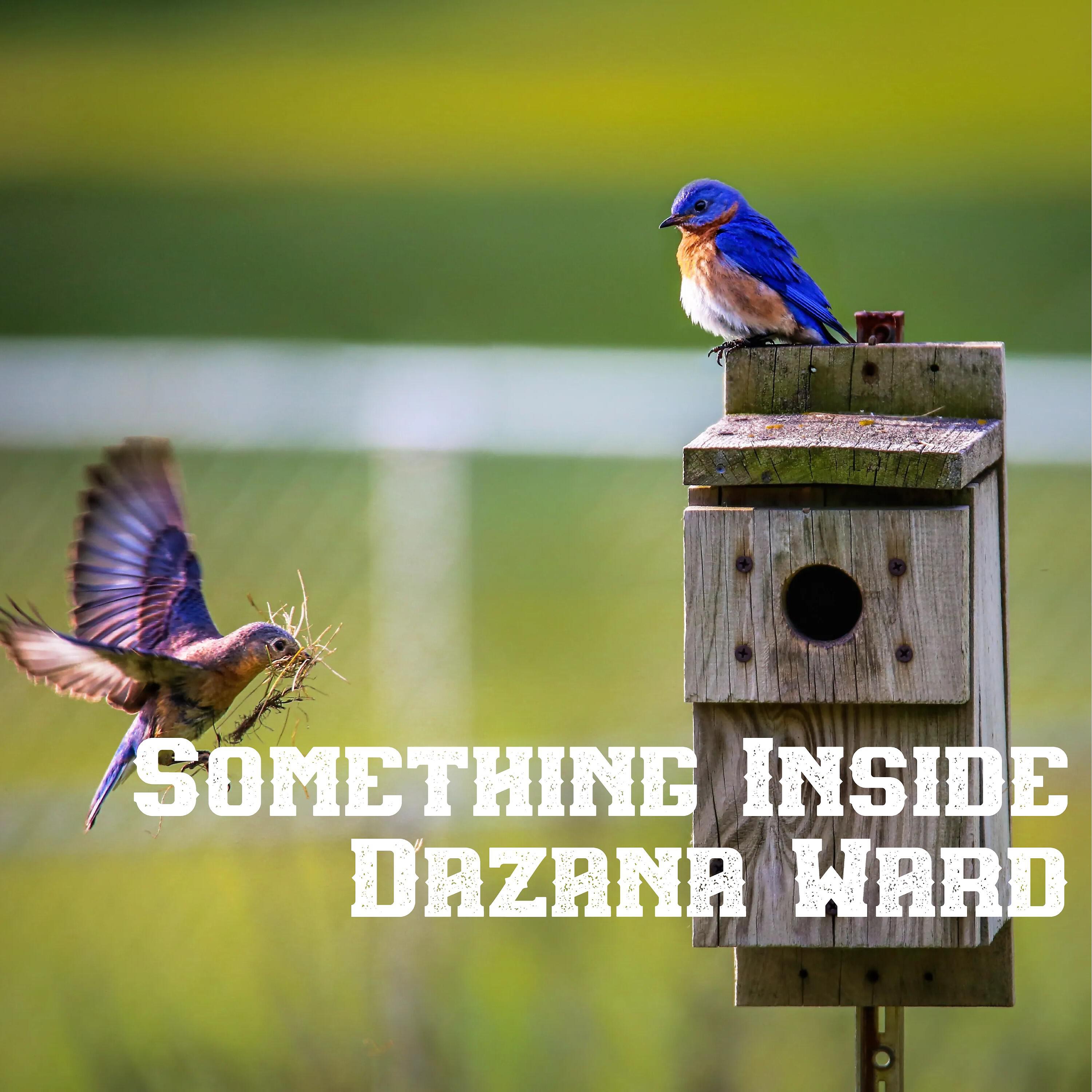 Dazana Ward