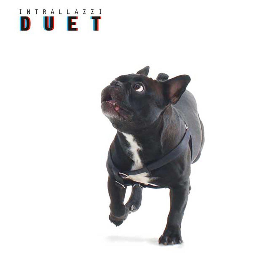 Релиз Duet