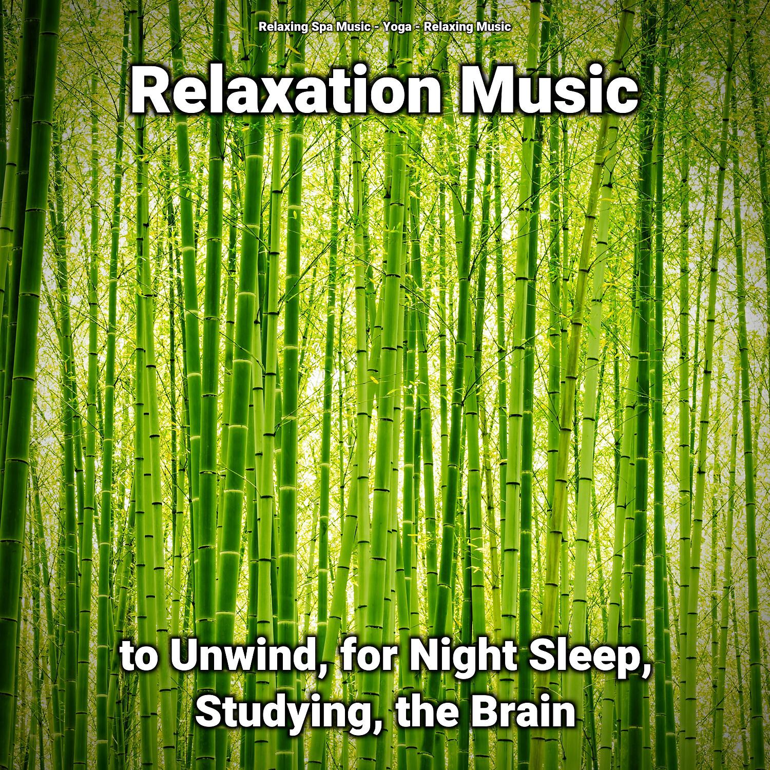 Релиз Relaxation Music to Unwind, for Night Sleep, Studying, the Brain