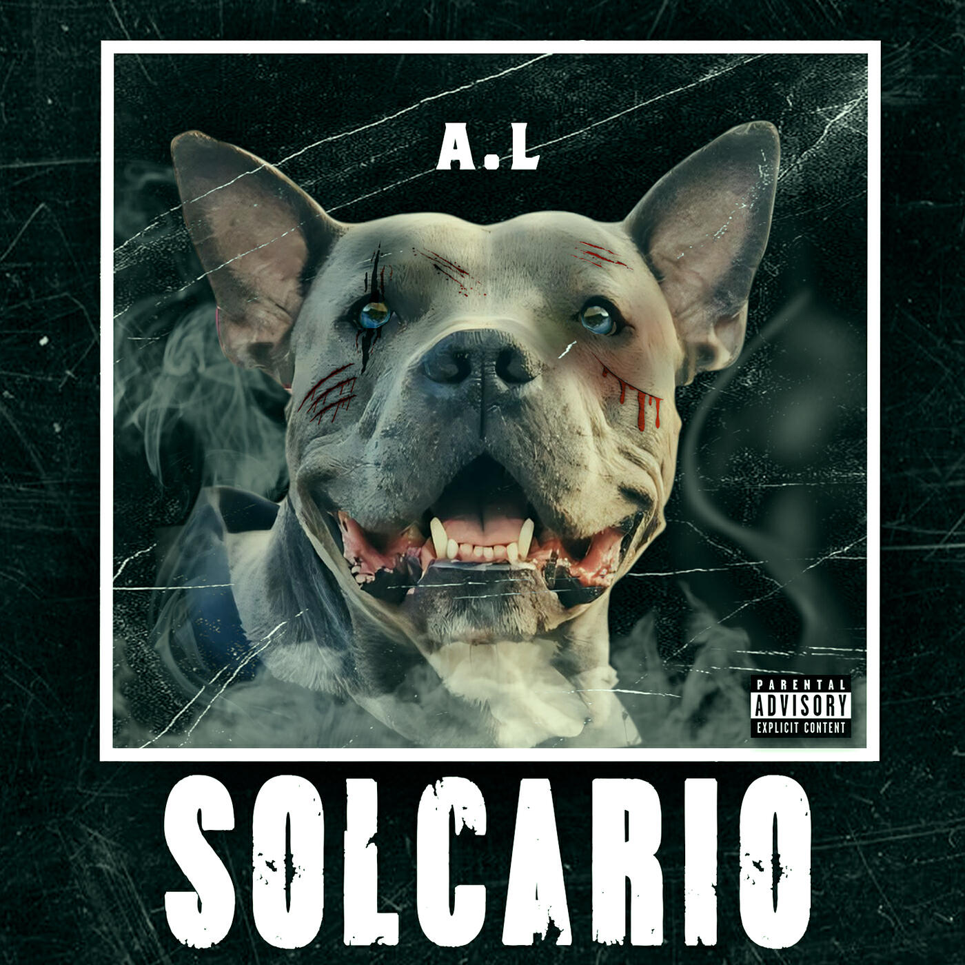 Постер альбома Solcario