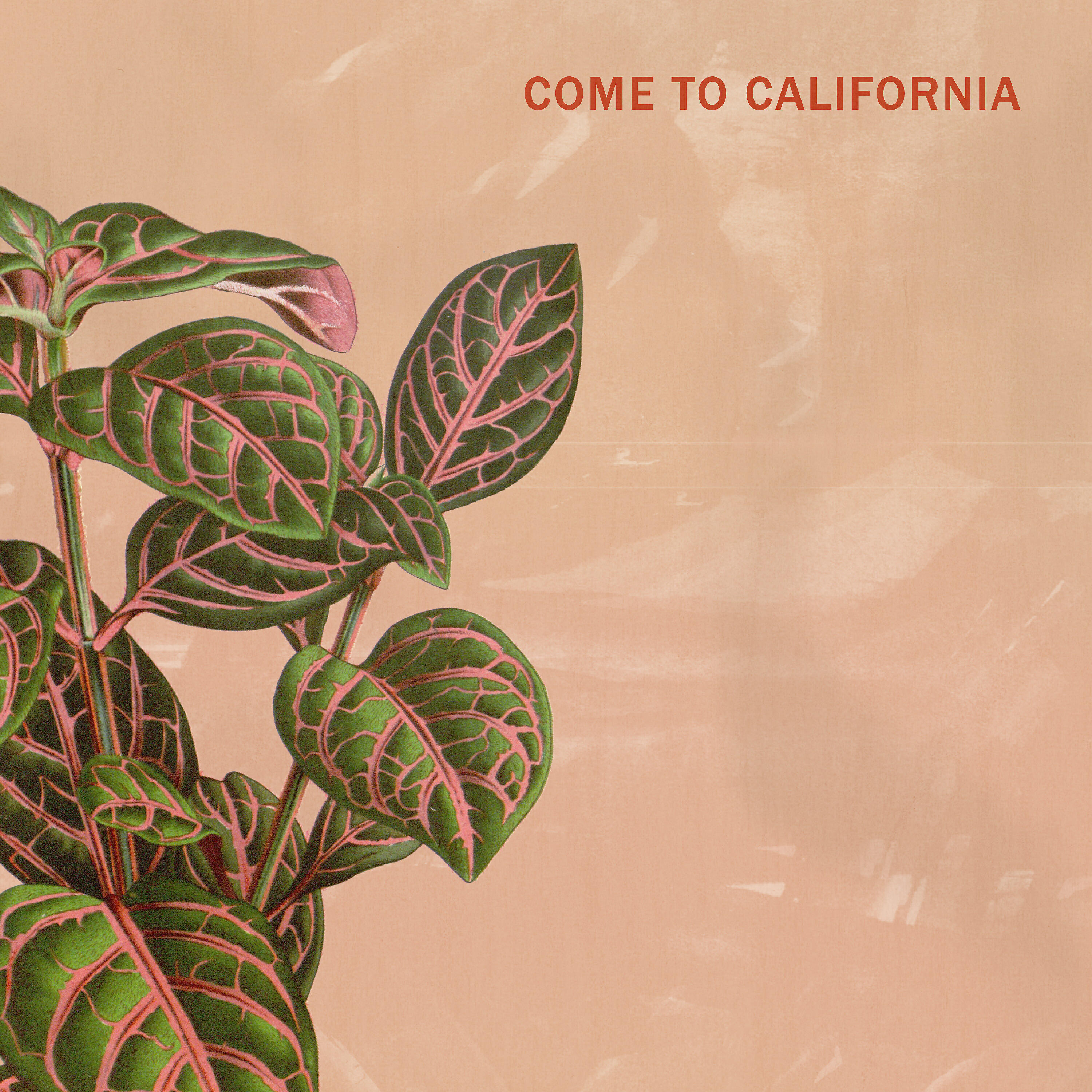 Релиз Come to California
