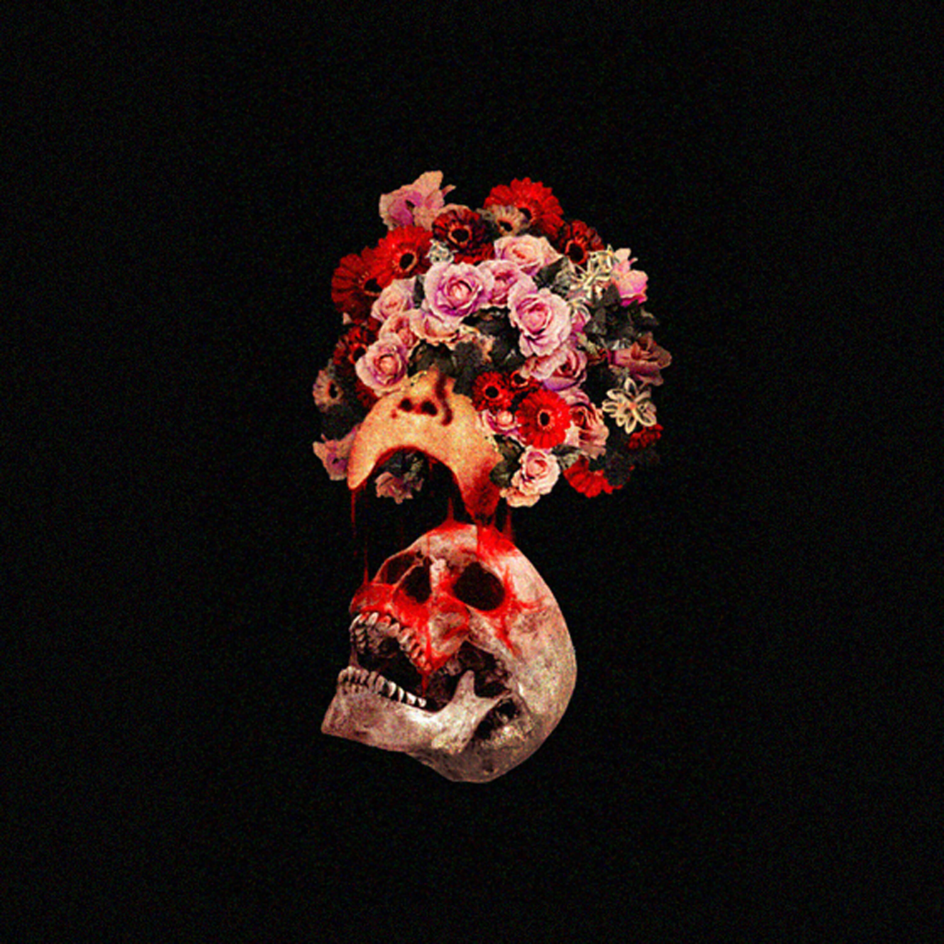 Релиз Morphine
