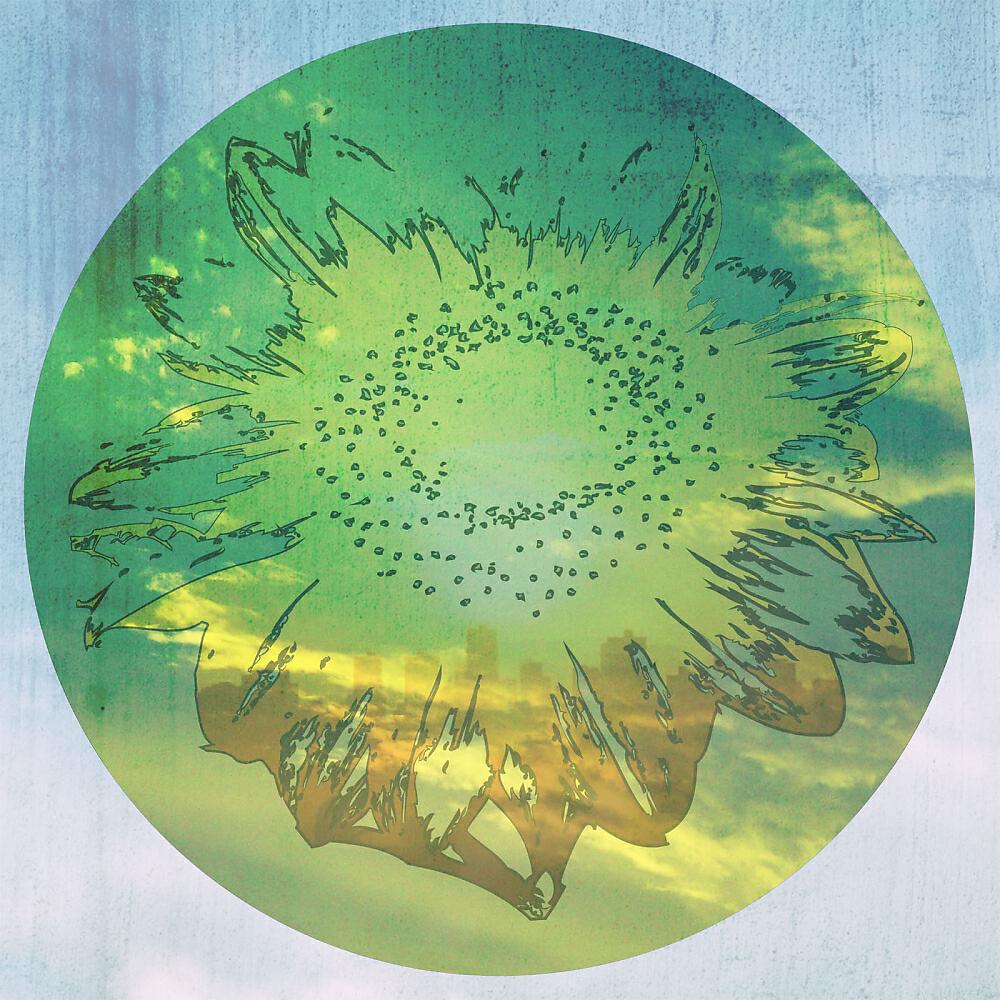 Релиз Sunflower