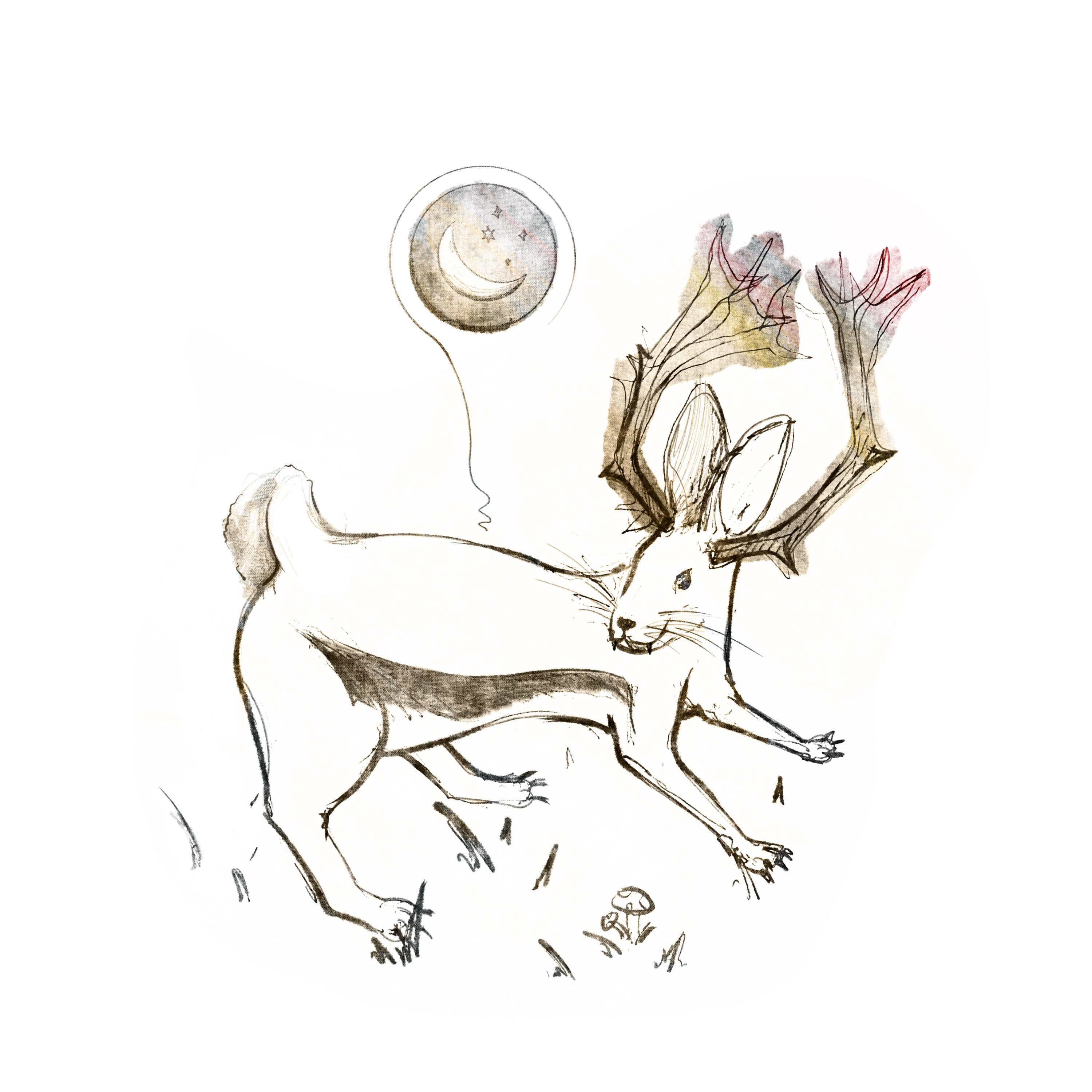 Релиз Jackalope Tales