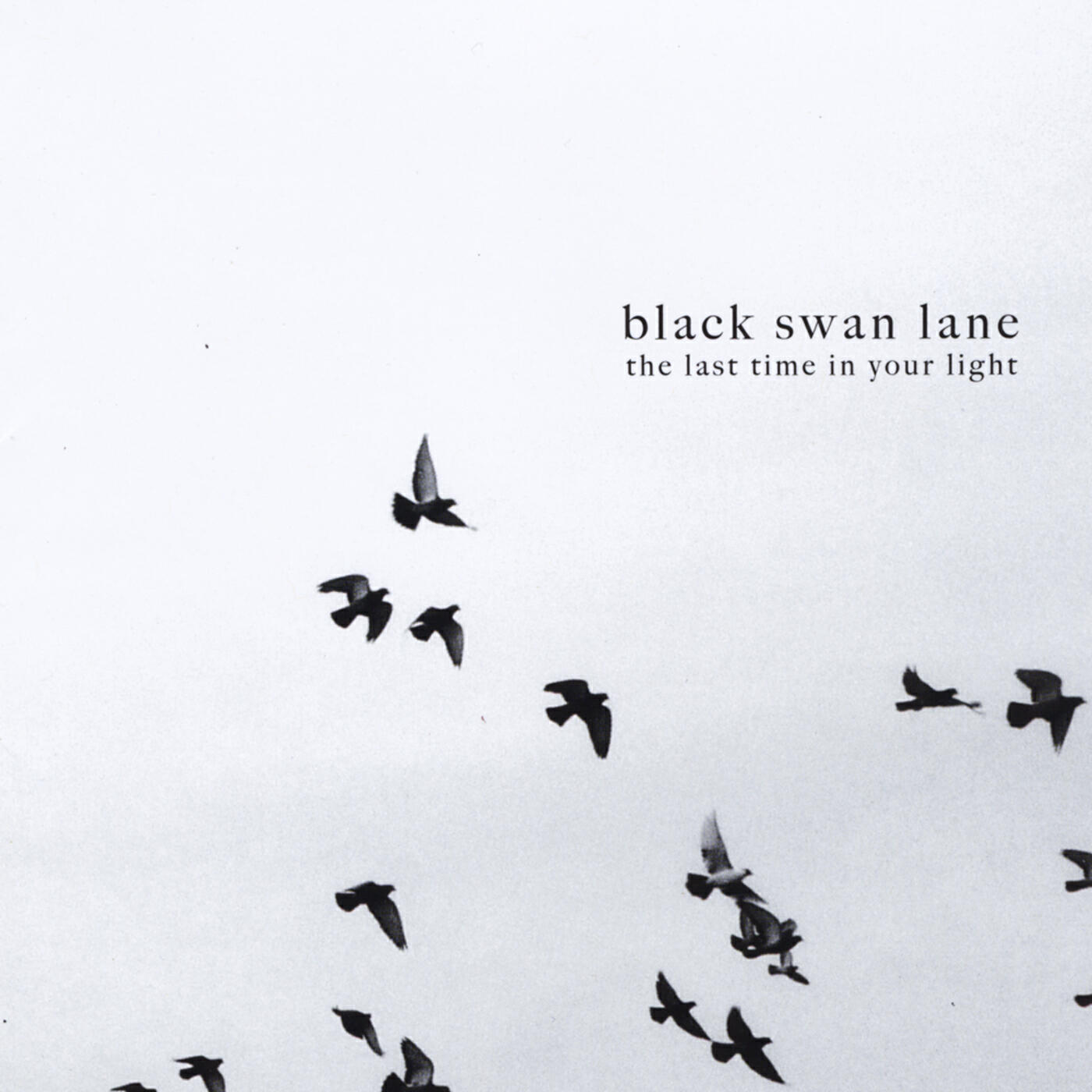 Релиз The Last Time in Your Light