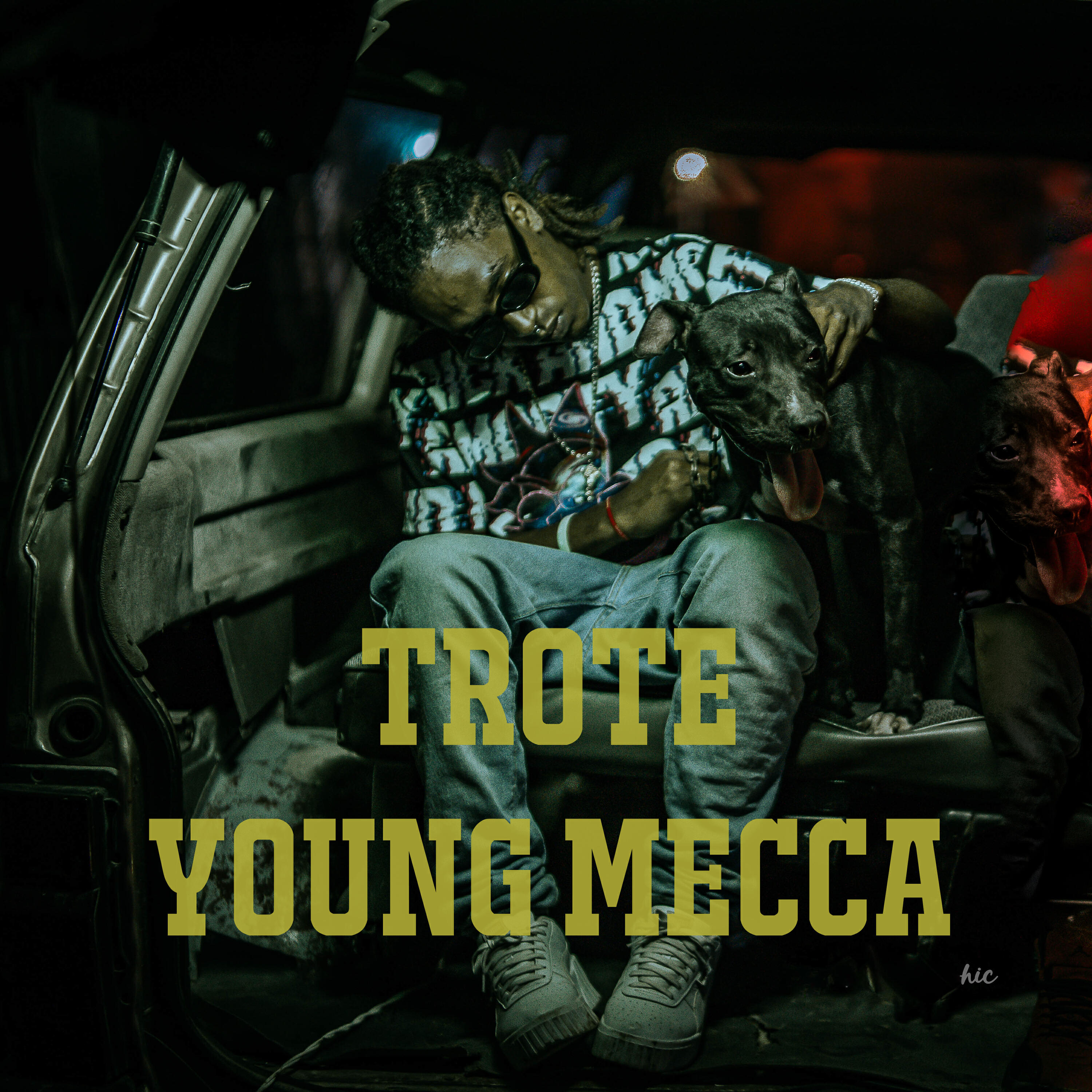 Релиз Trote