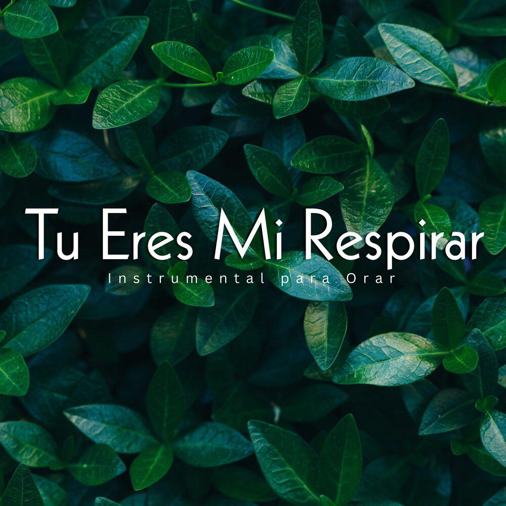 Релиз Tu Eres Mi Respirar