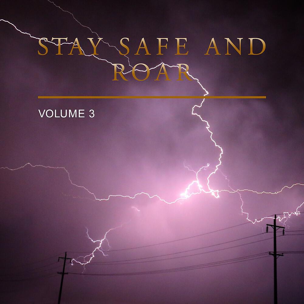 Релиз Stay Safe and Roar, Vol. 3