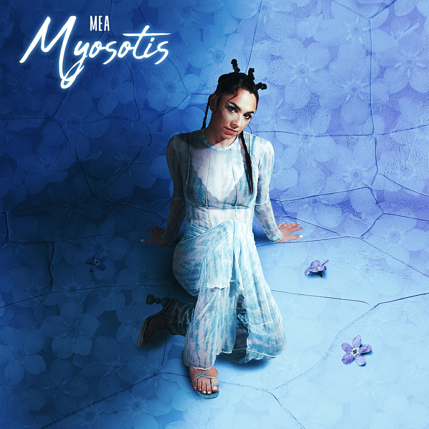 Релиз Myosotis