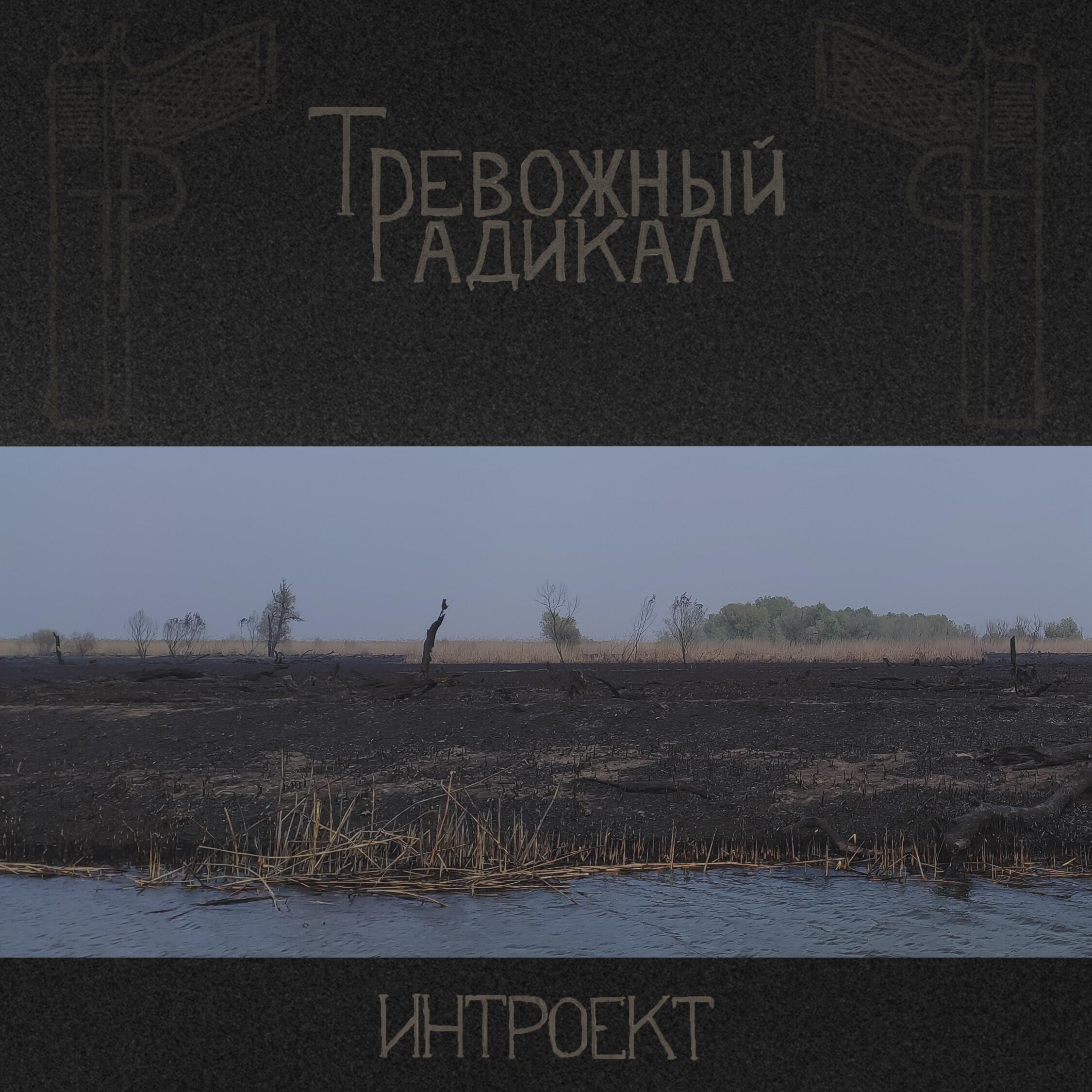 Релиз Интроект
