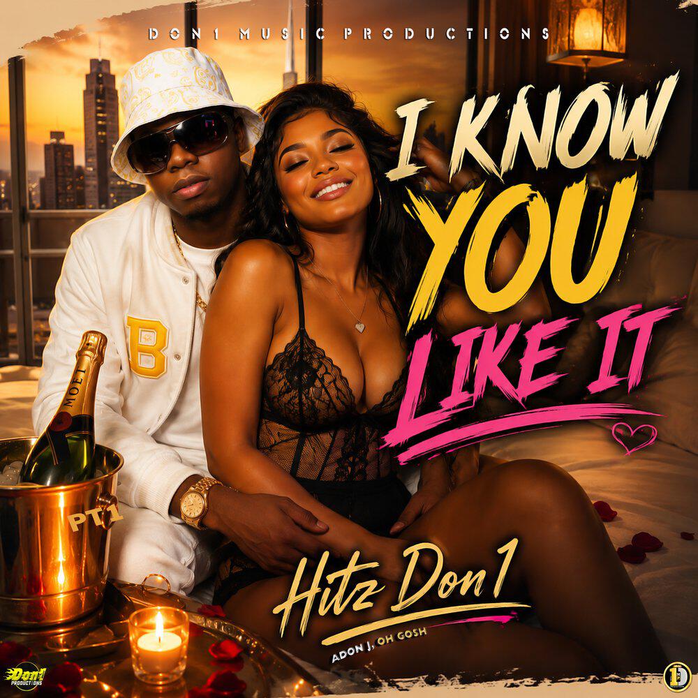 Релиз I Know You Like It