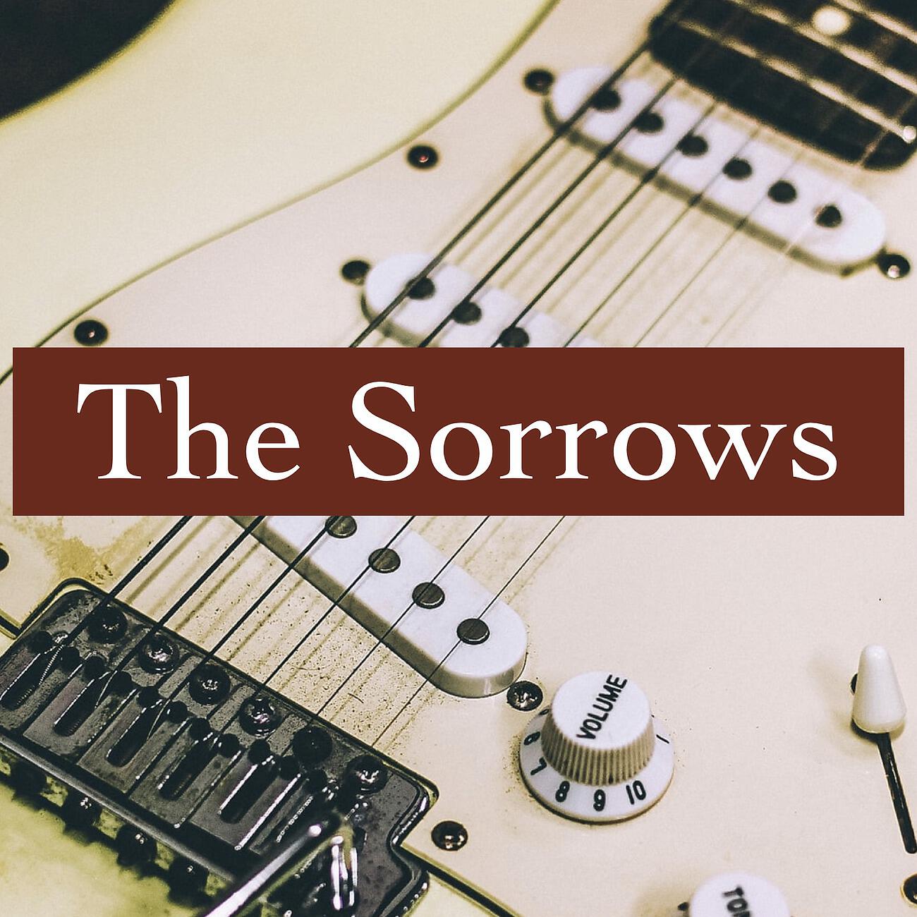 Релиз The Sorrows - Beat Era Radio Broadcasts 1965.