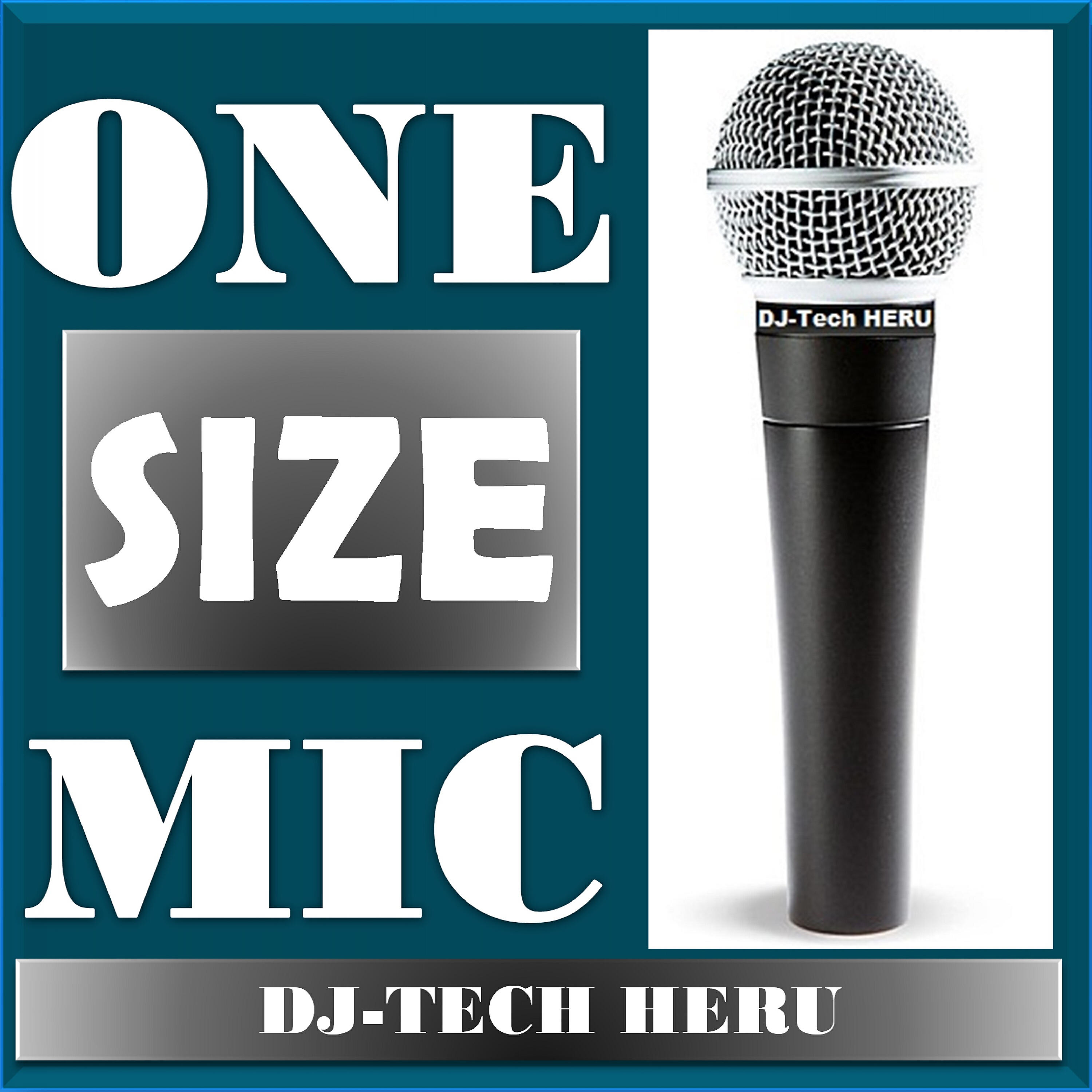Релиз One Size Mic