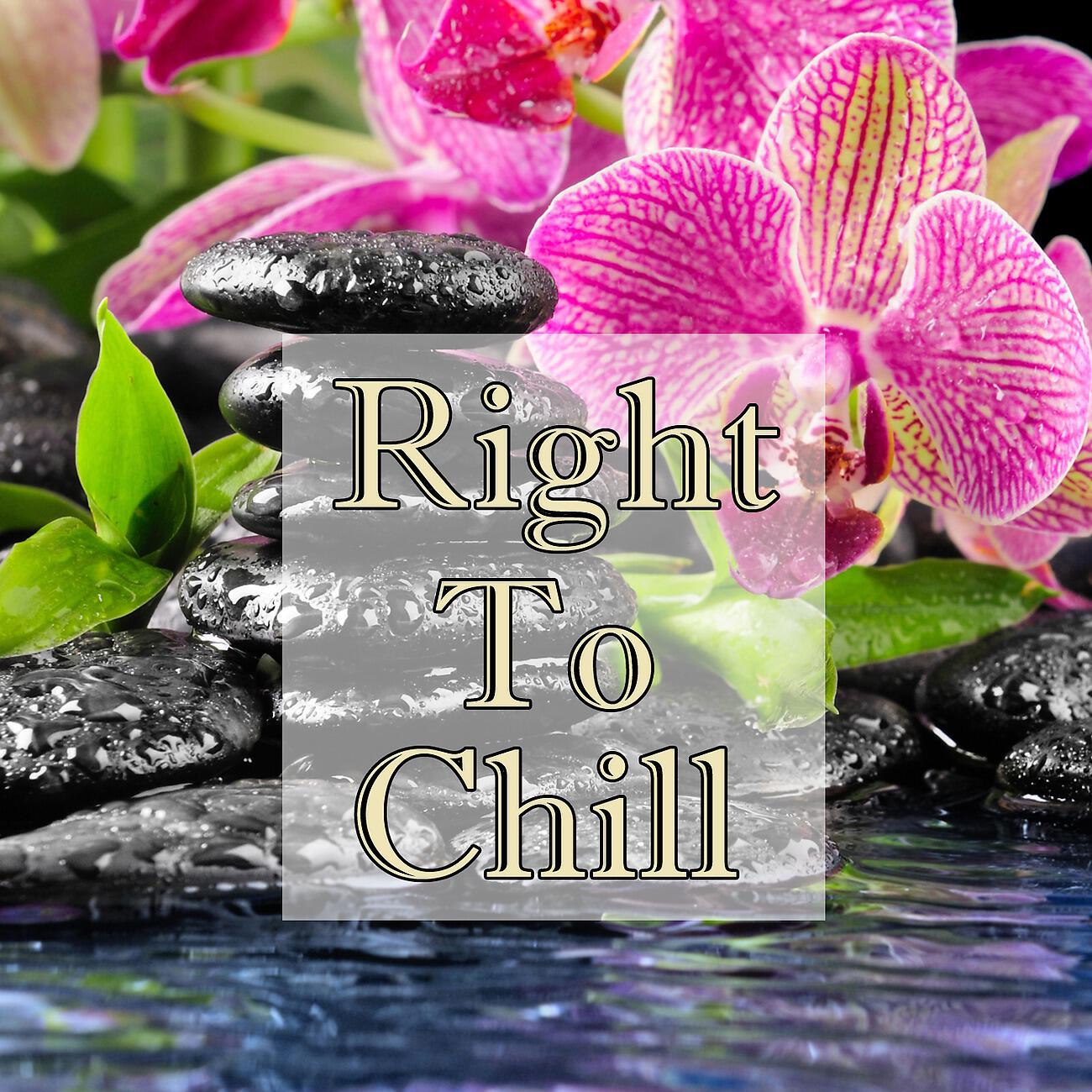 Релиз Right To Chill, Vol.2