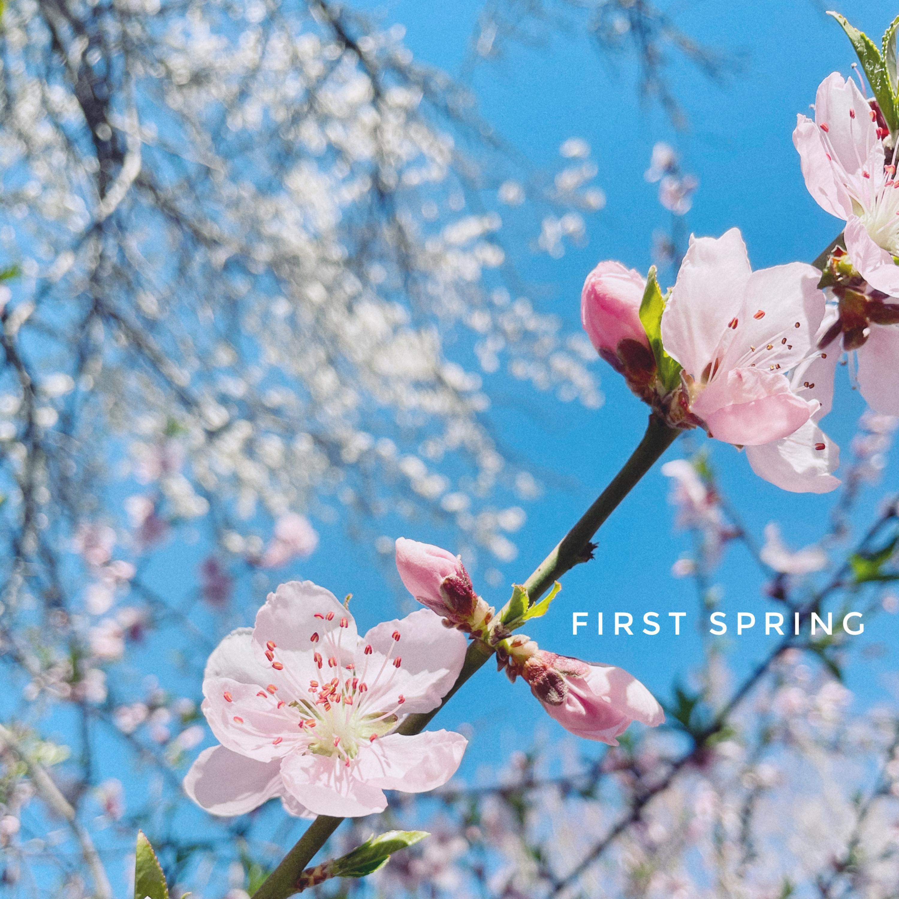 Релиз First Spring