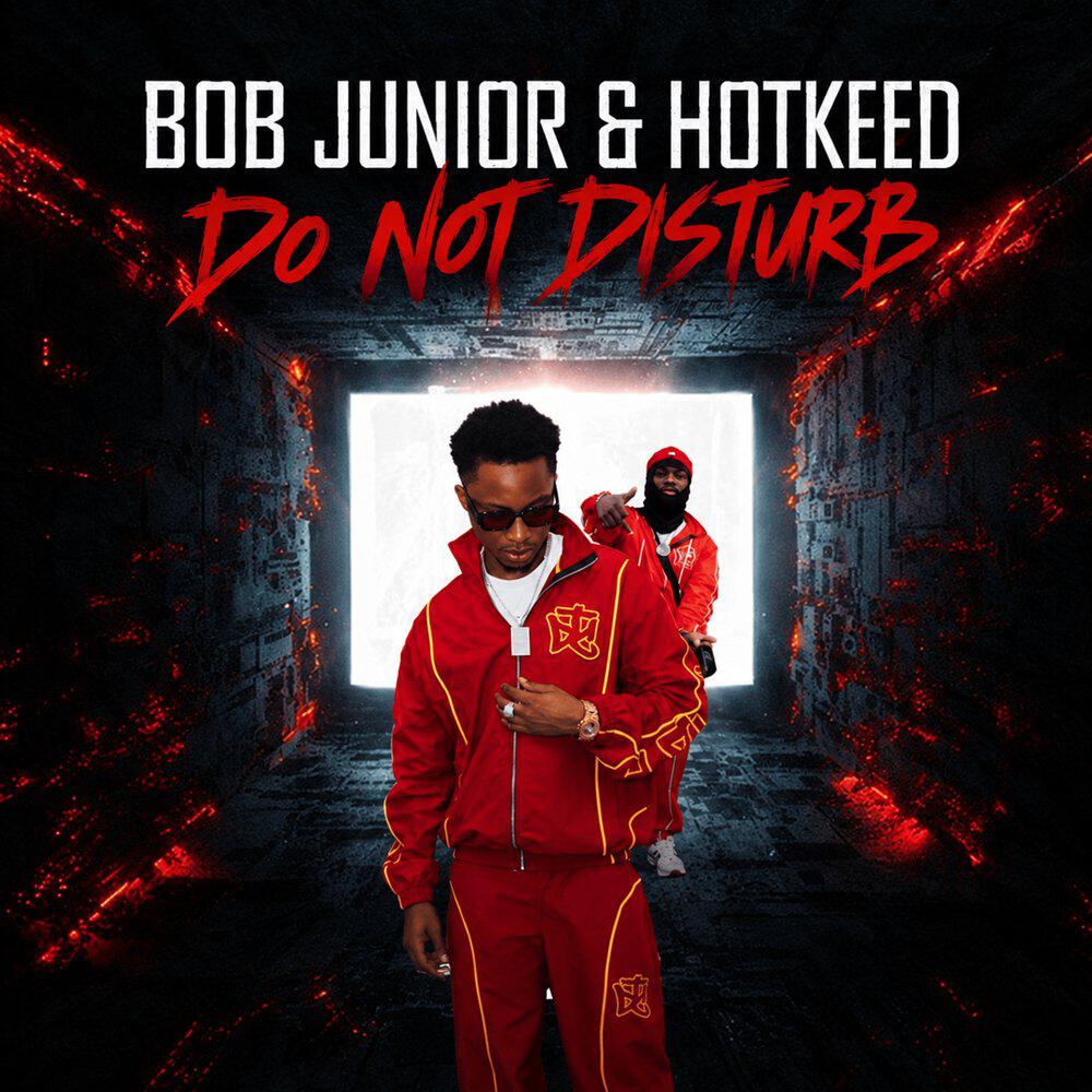 Релиз Do Not Disturb