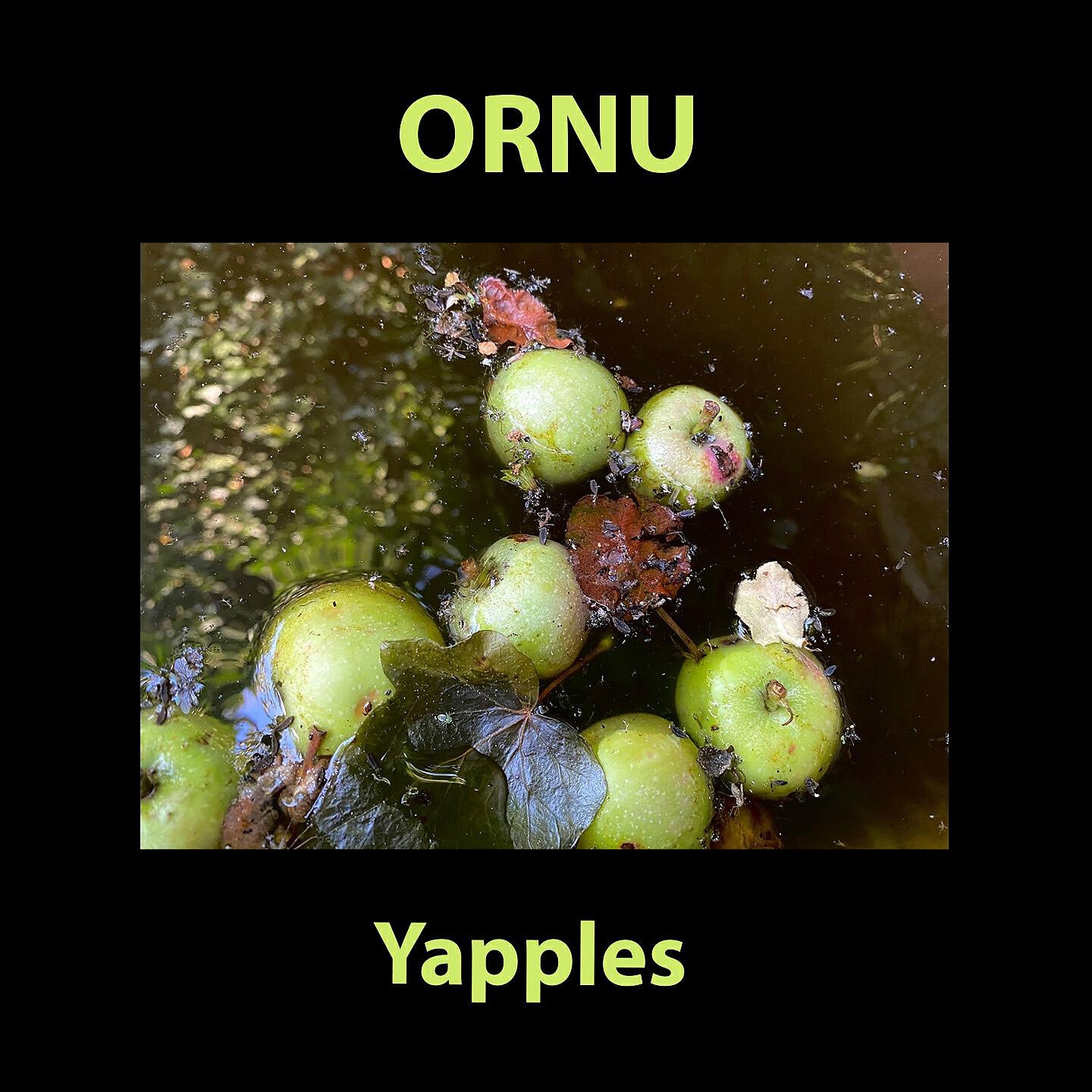 Постер альбома Yapples