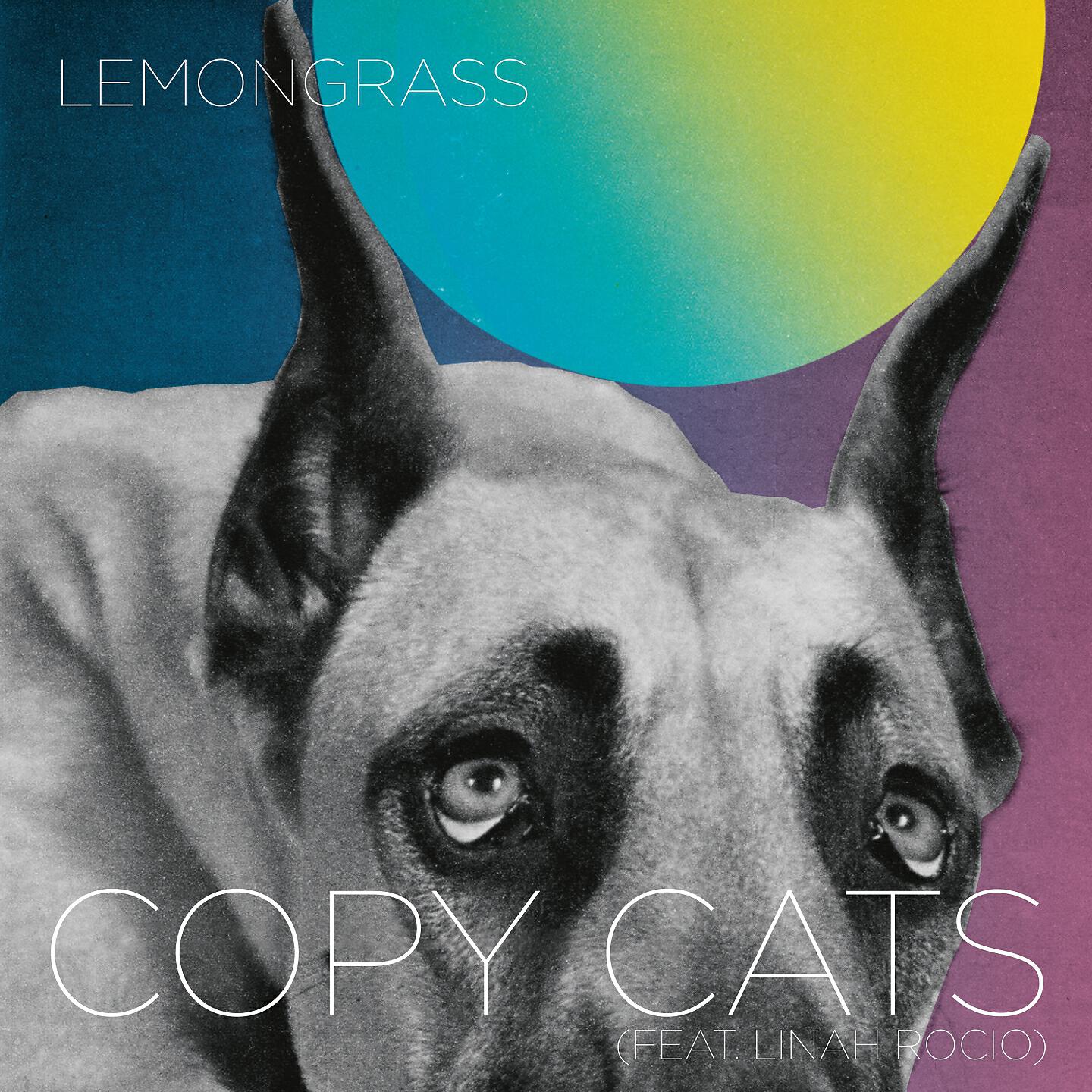 Релиз Copy Cats