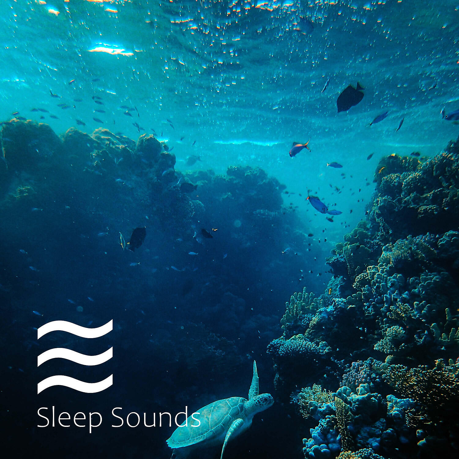 Ocean Waves for Sleep, Nature Sounds