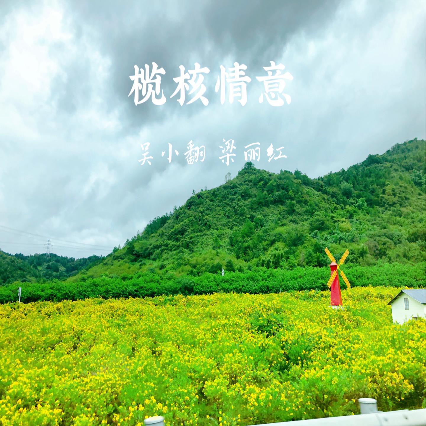 Релиз 榄核情意