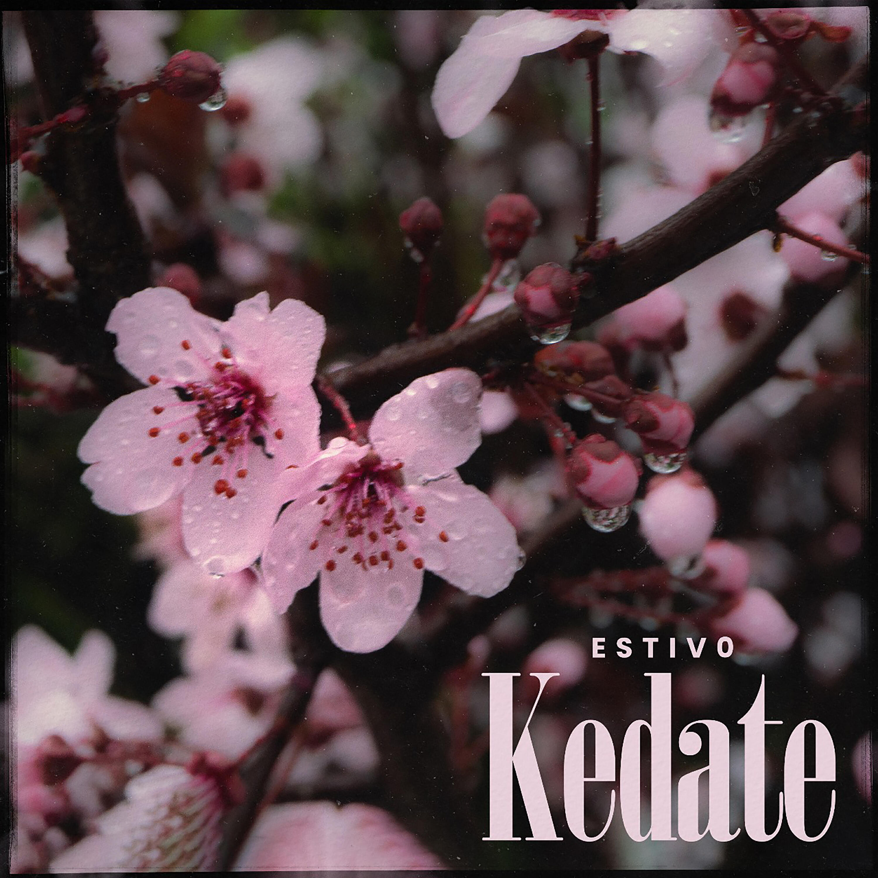 Релиз Kedate