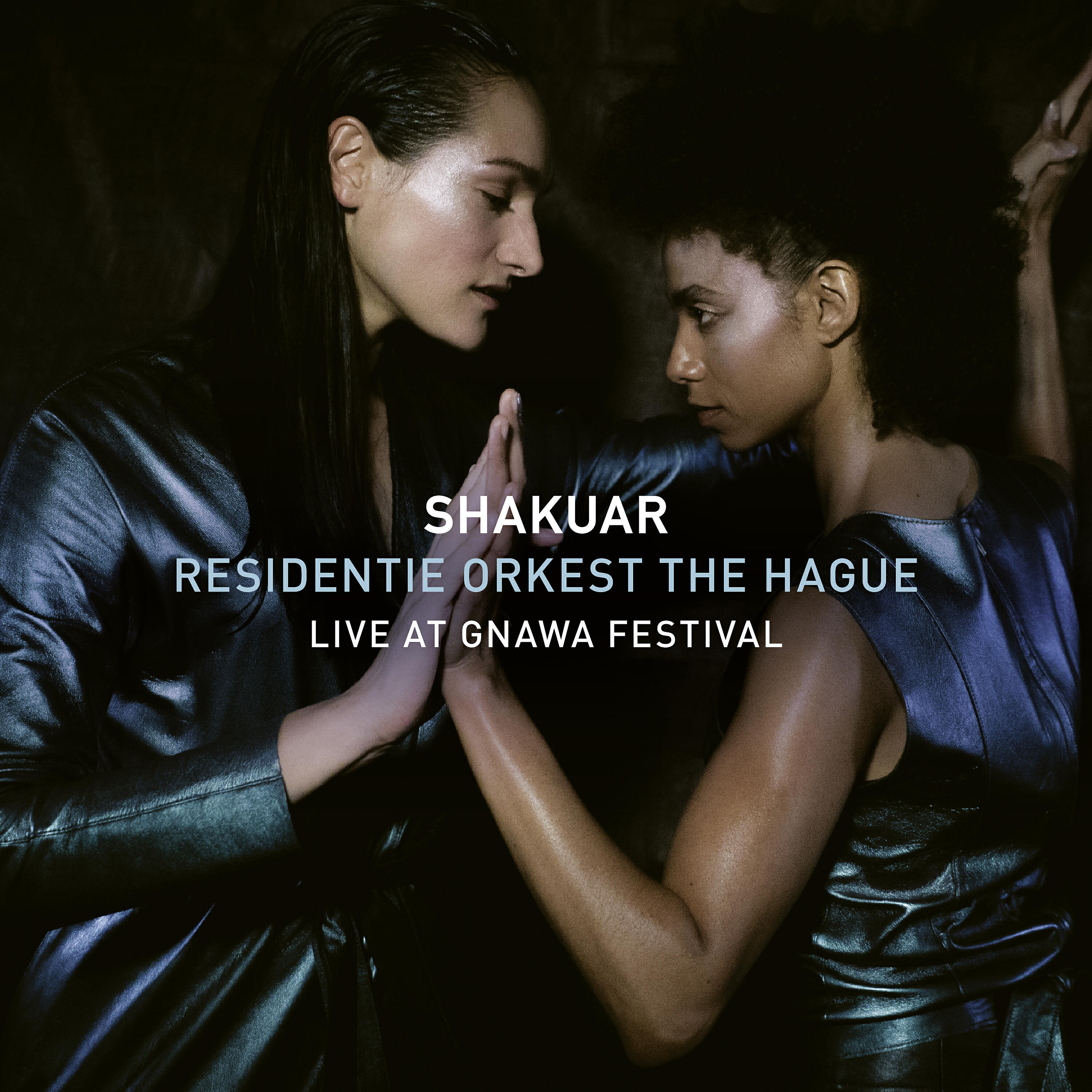 Релиз Live at Gnawa Festival