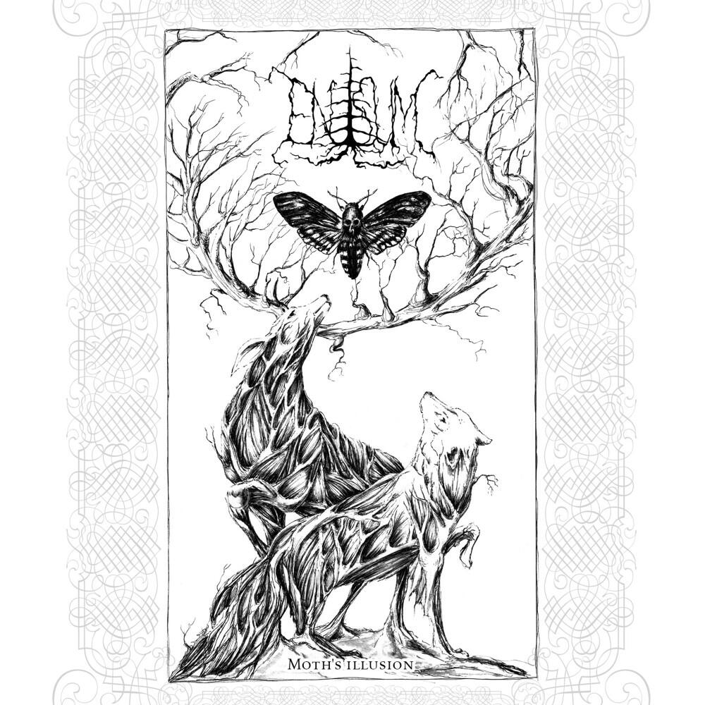 Релиз Moth's Illusion