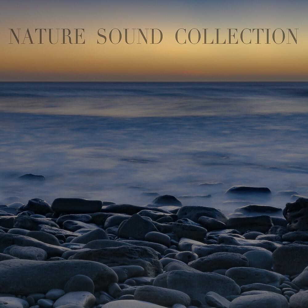 Релиз Nature Sound Collection