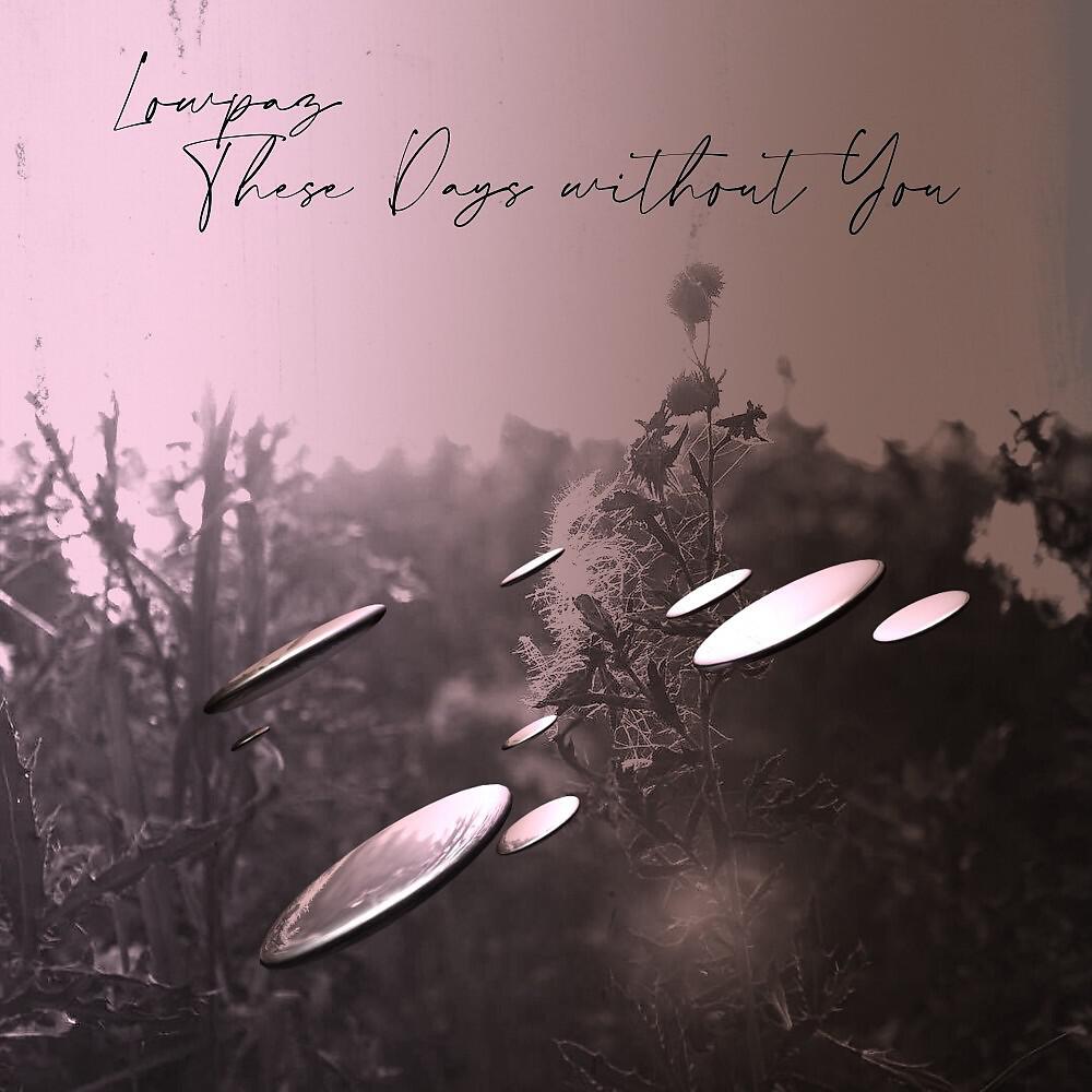 Релиз These Days Without You