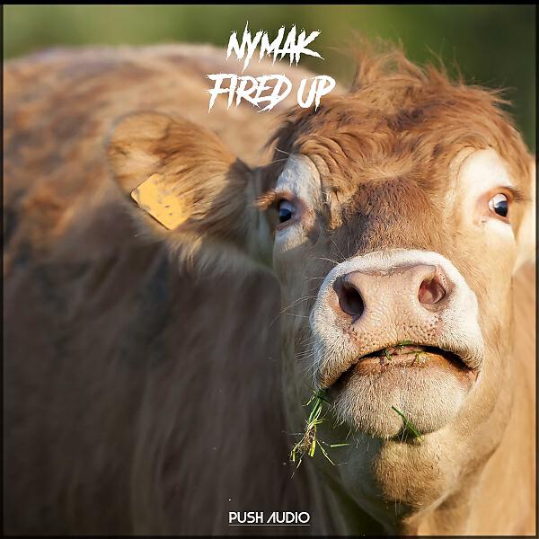 Релиз Fired Up