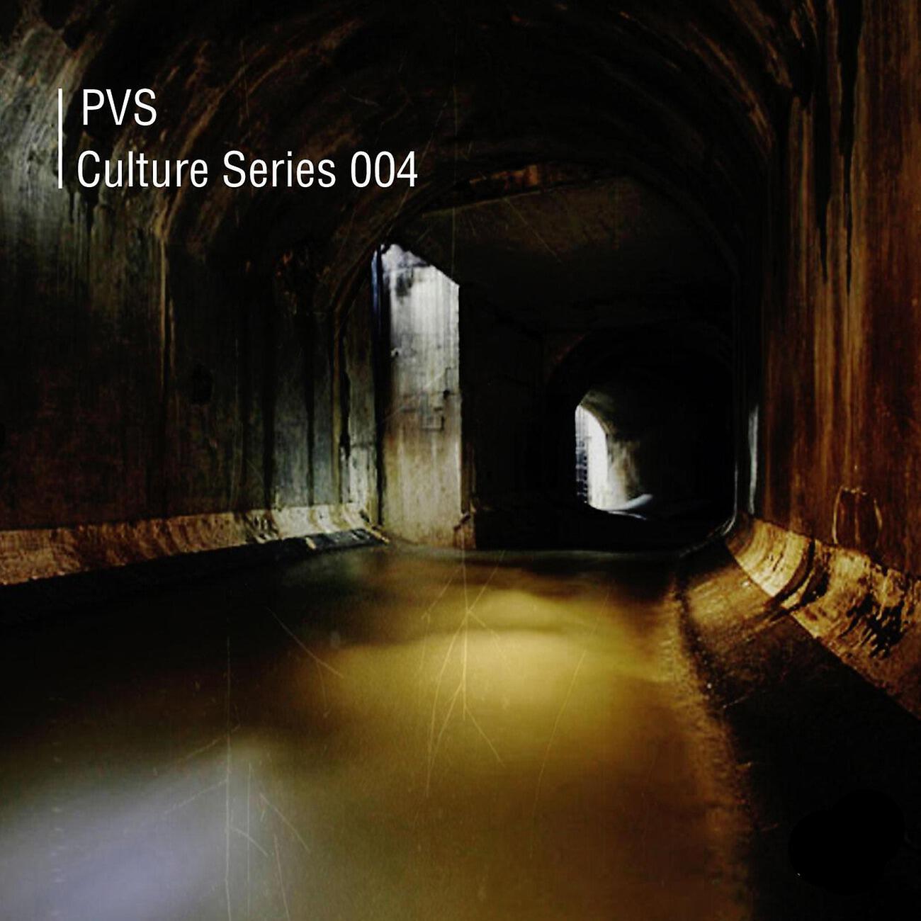 Релиз Culture Series 004