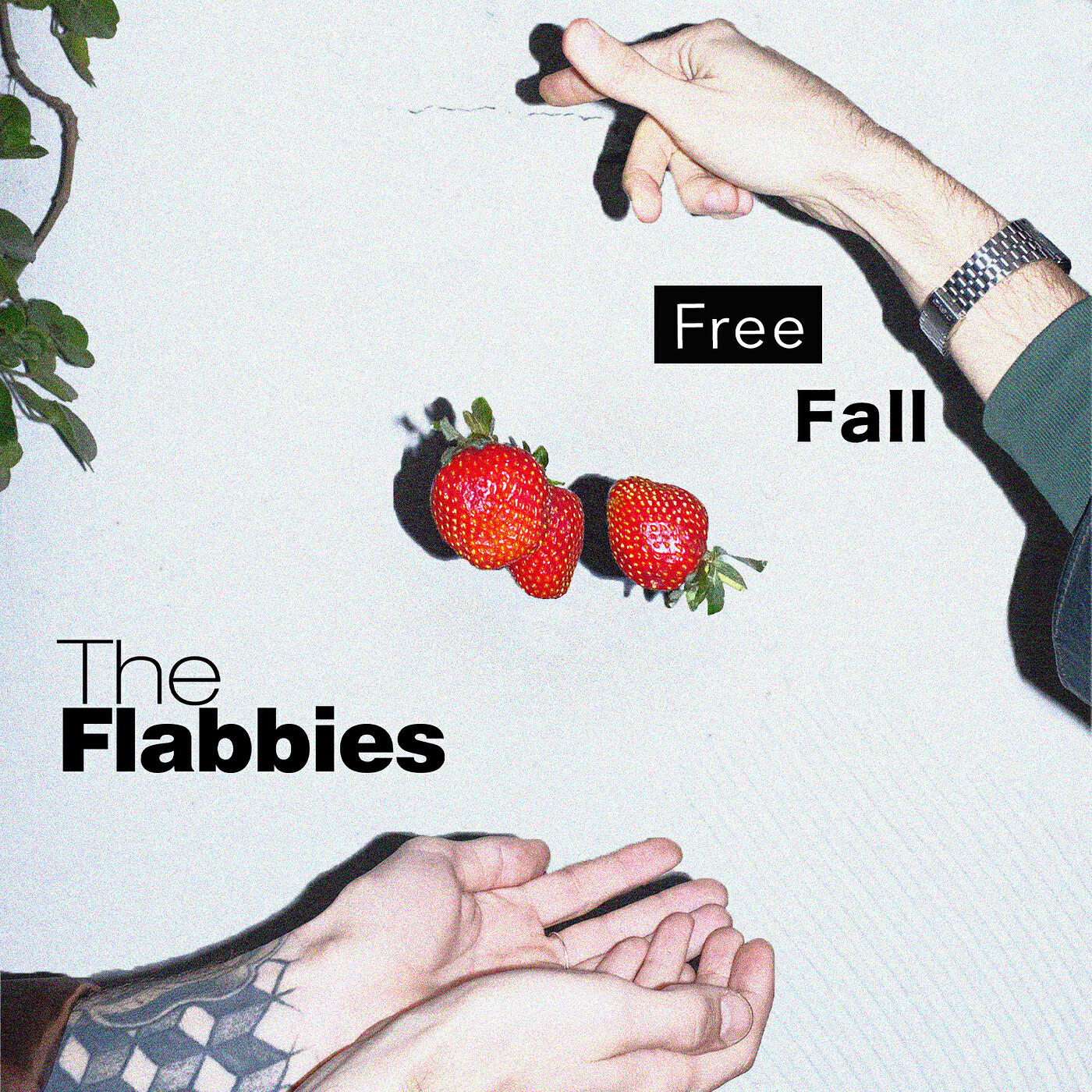 Релиз Free Fall