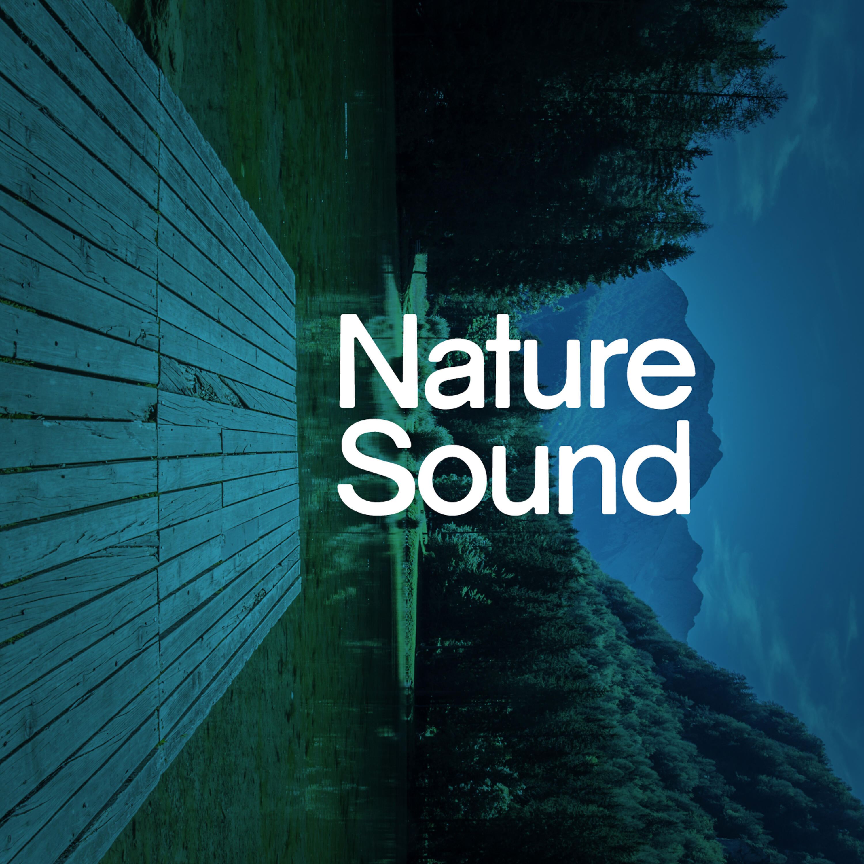 Постер альбома Nature Sound