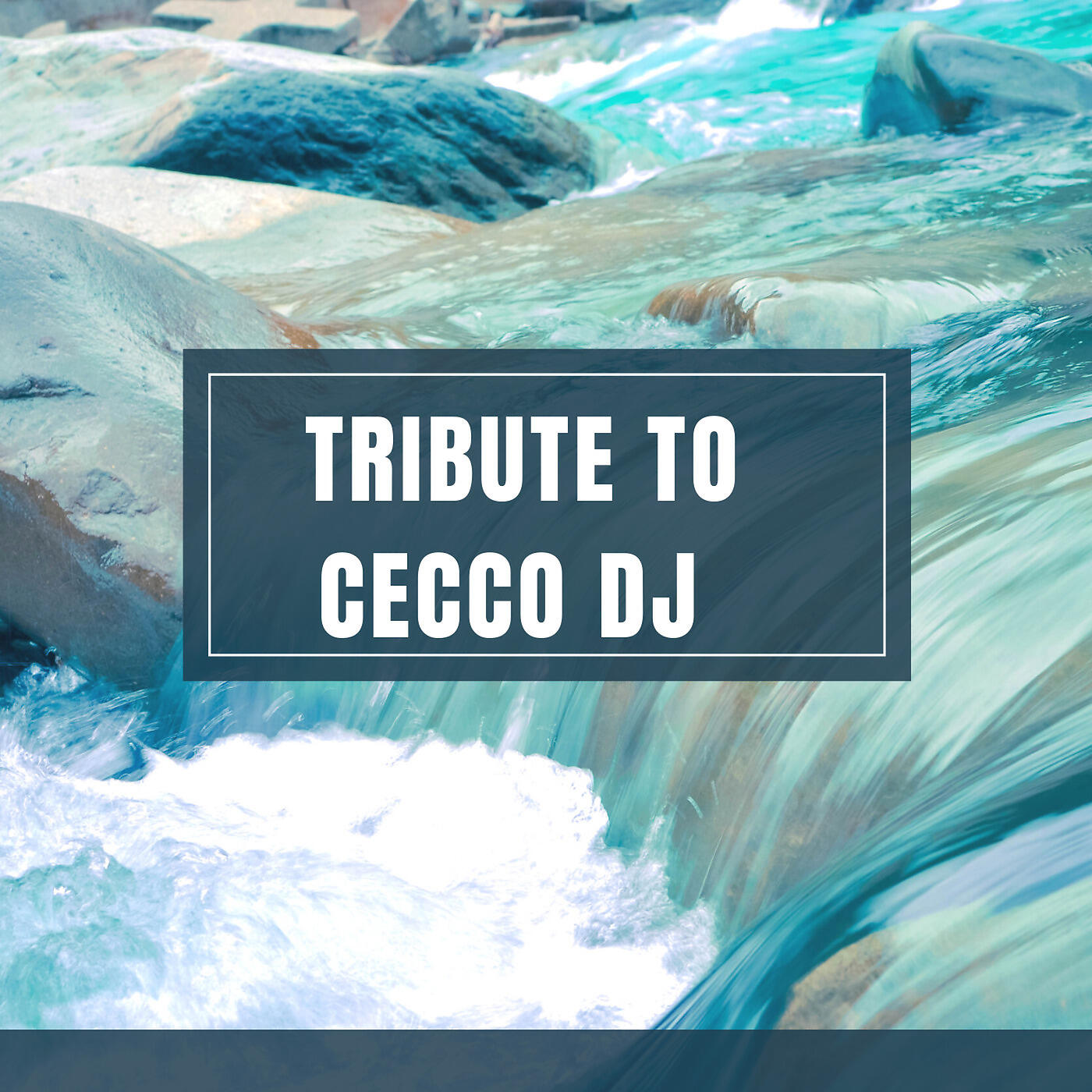Релиз tribute to cecco dj