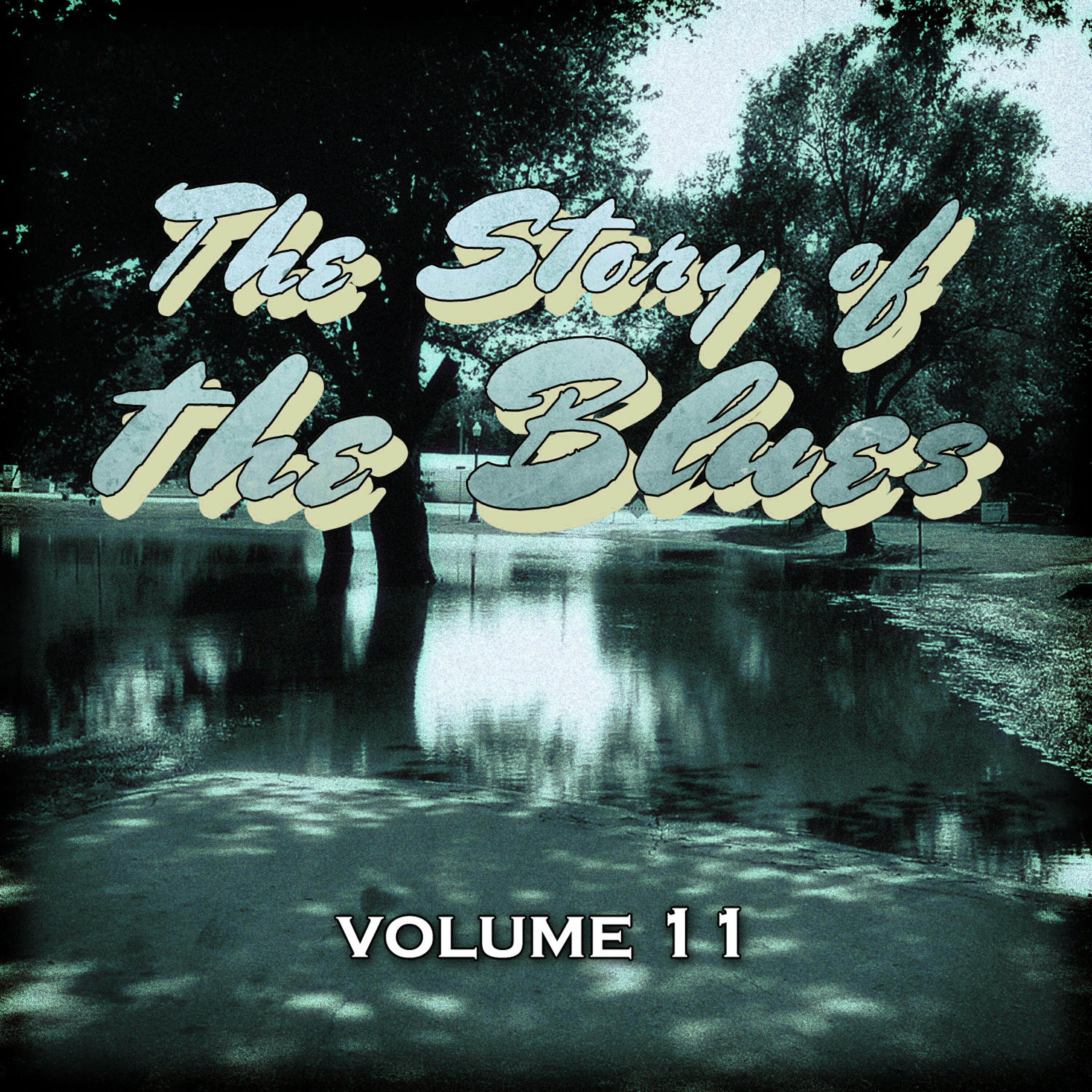 Постер альбома The Story of the Blues, Vol. 11