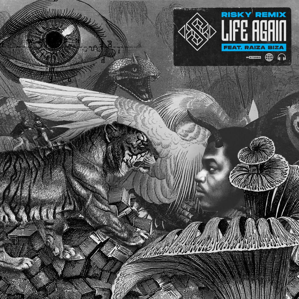 Релиз Life Again (Risky Remix)