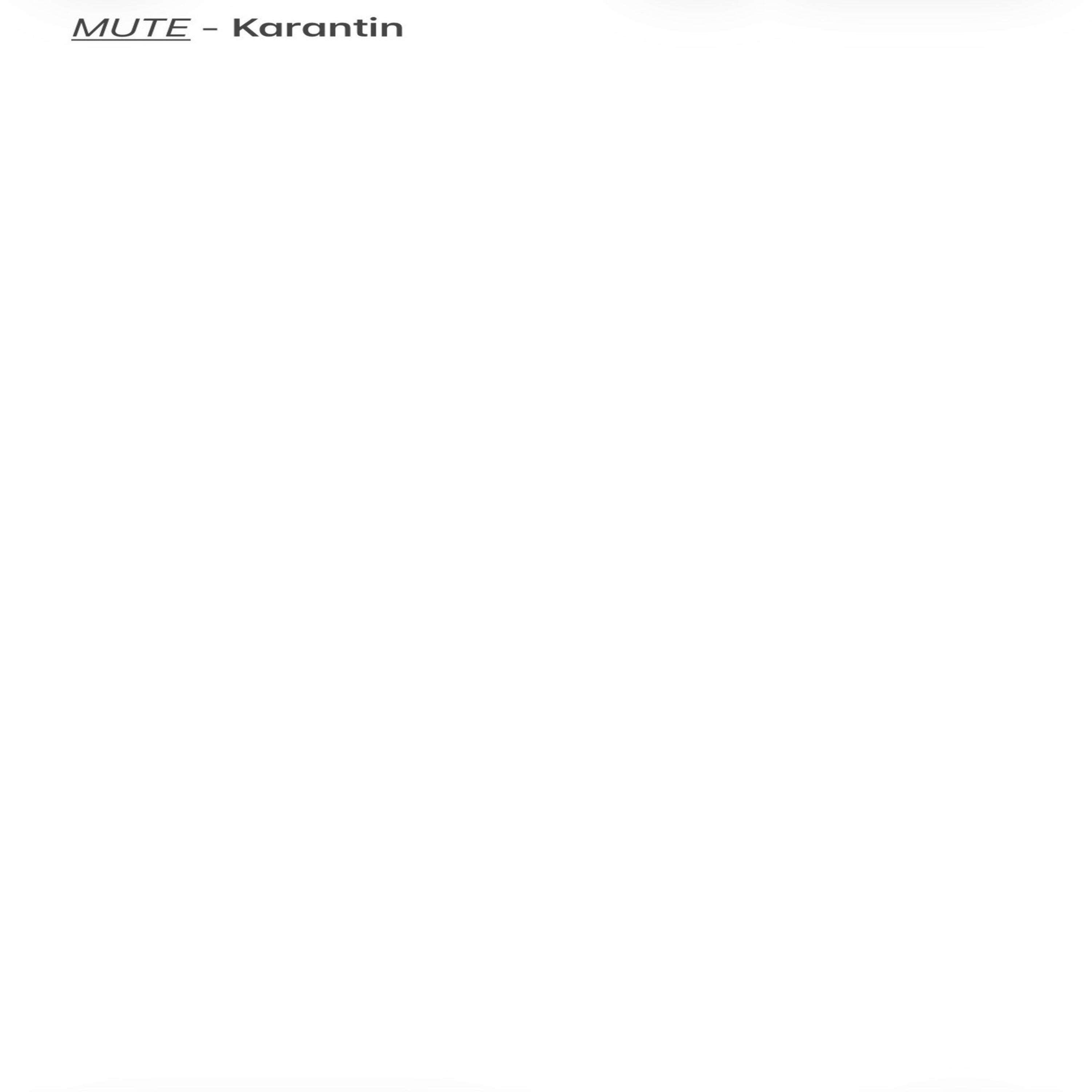 Релиз Karantin